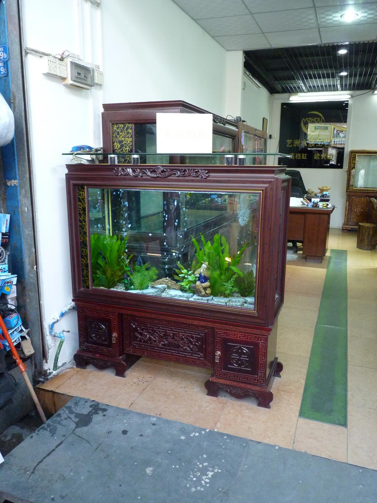 P1130520.jpg