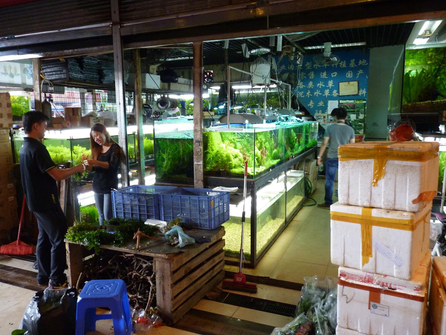 P1130552.jpg