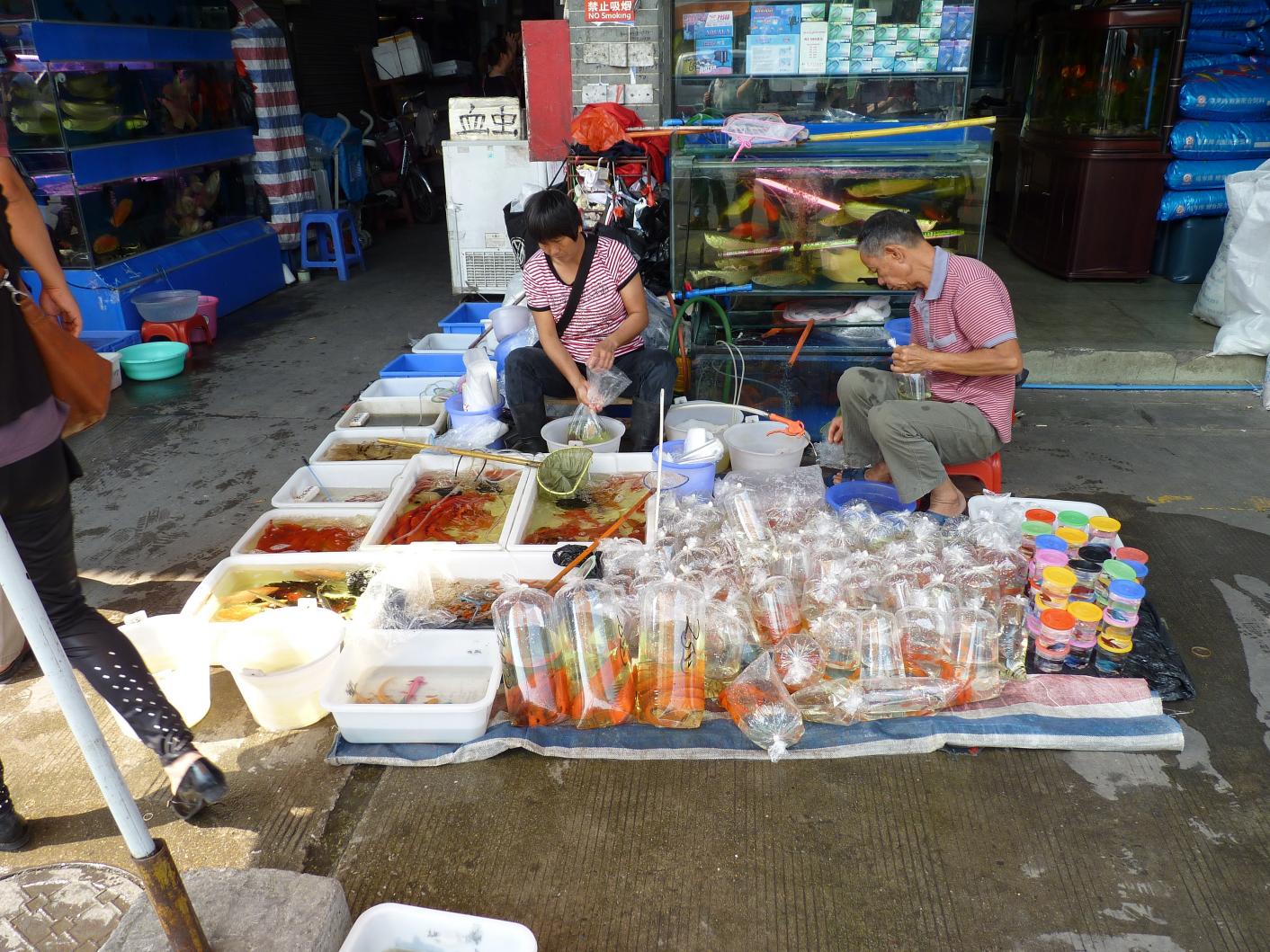 P1130562.jpg