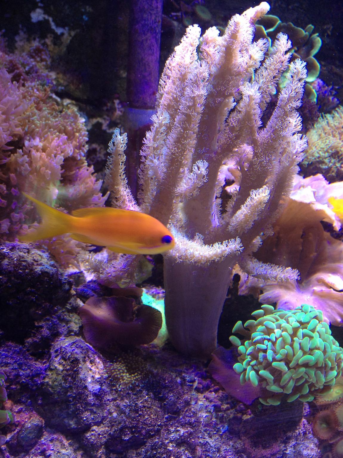 IMG_5485.jpg