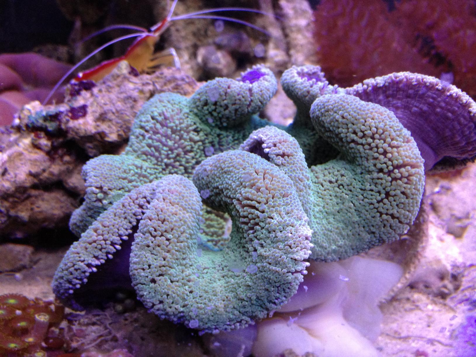 IMG_6925.jpg