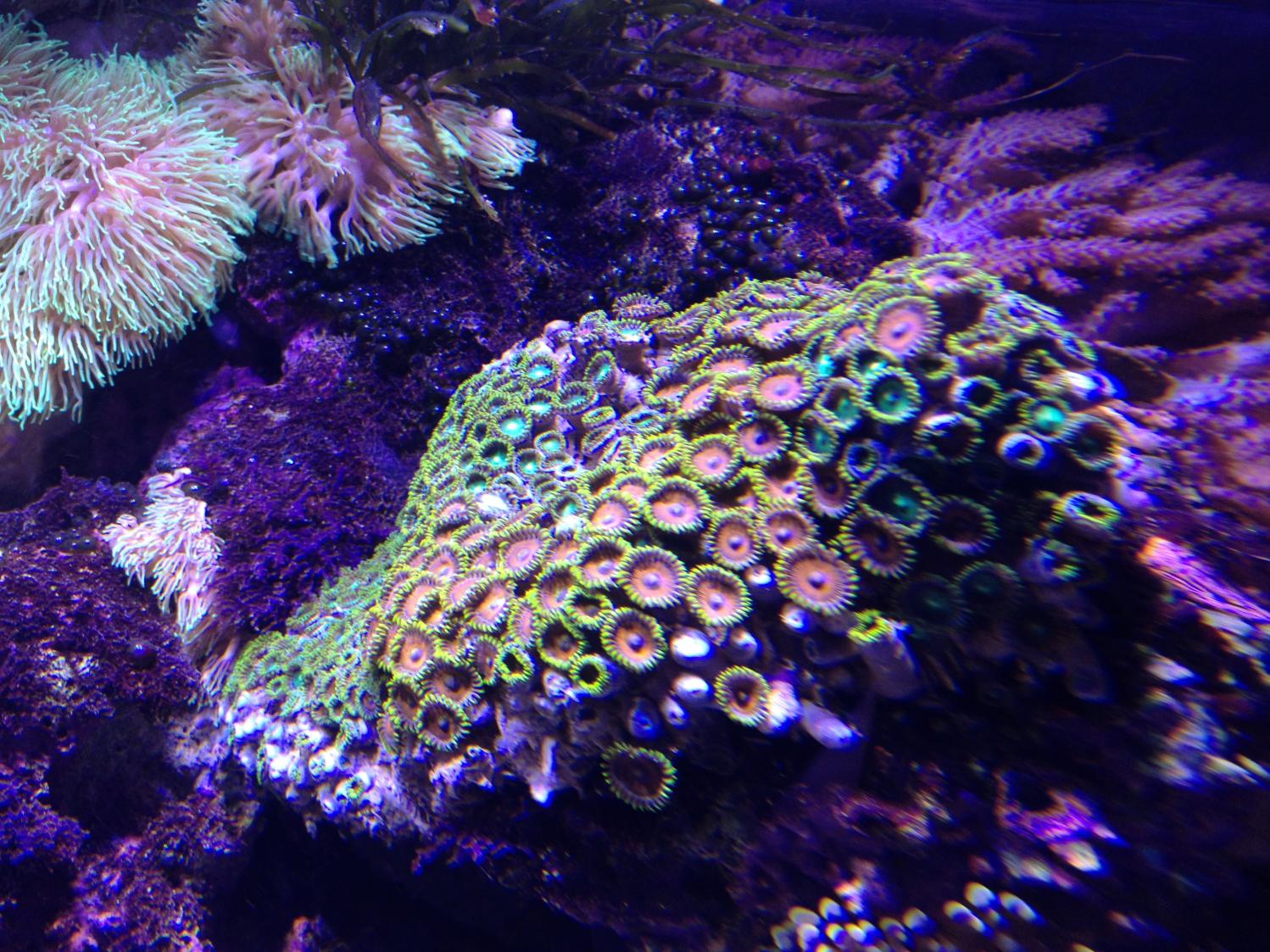 IMG_6933.jpg