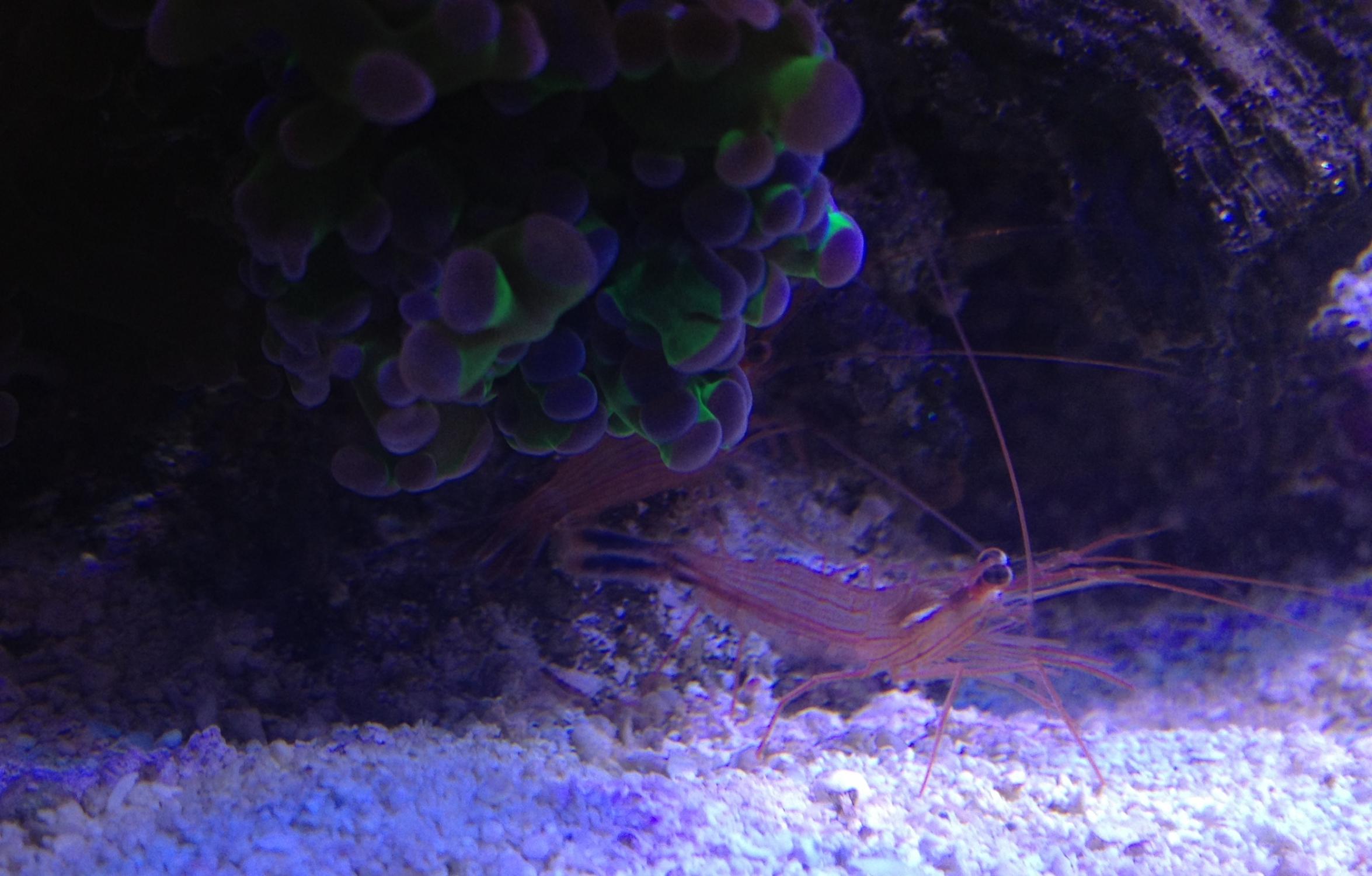 IMG_8804.jpg