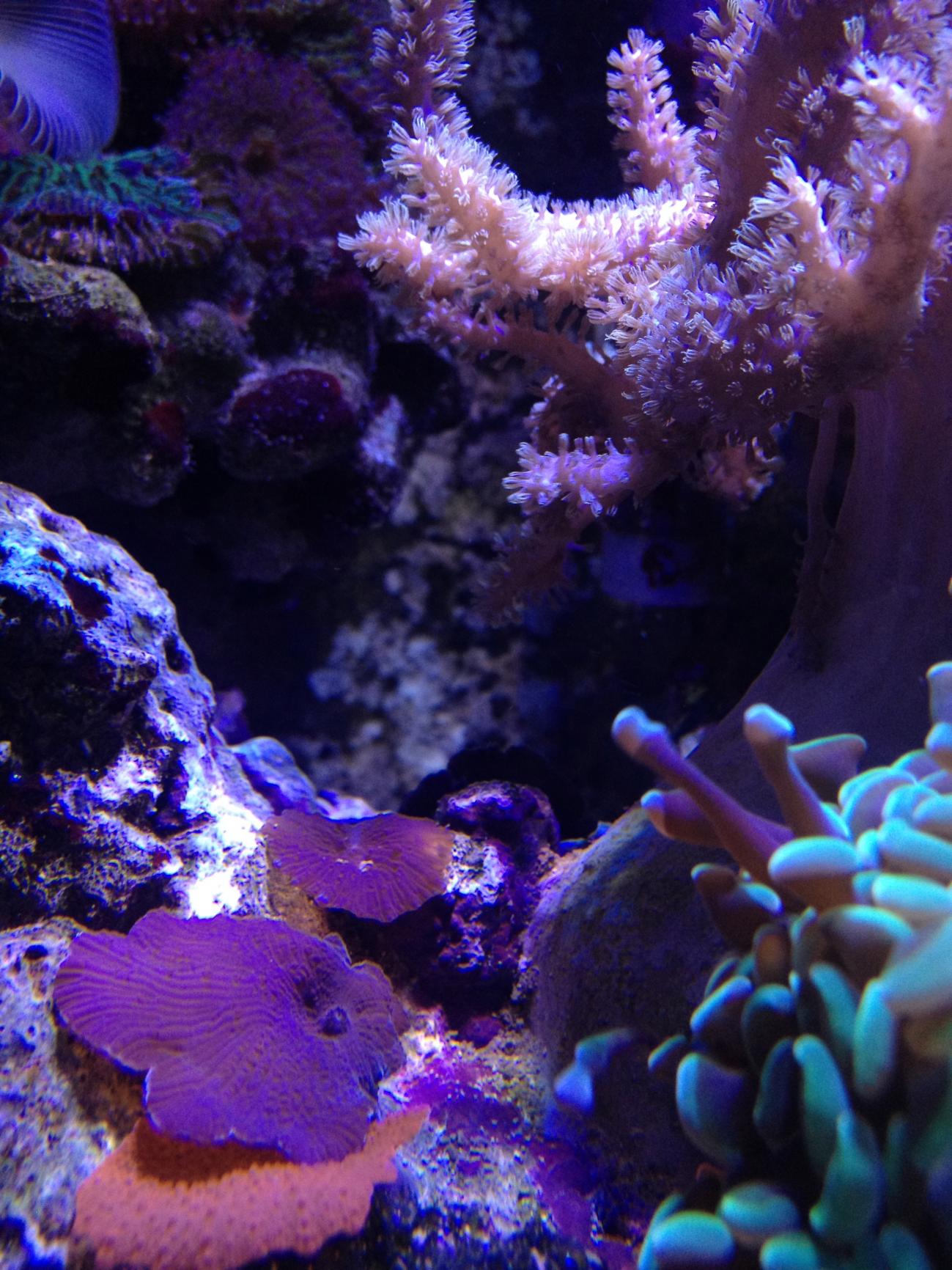 IMG_4261.jpg