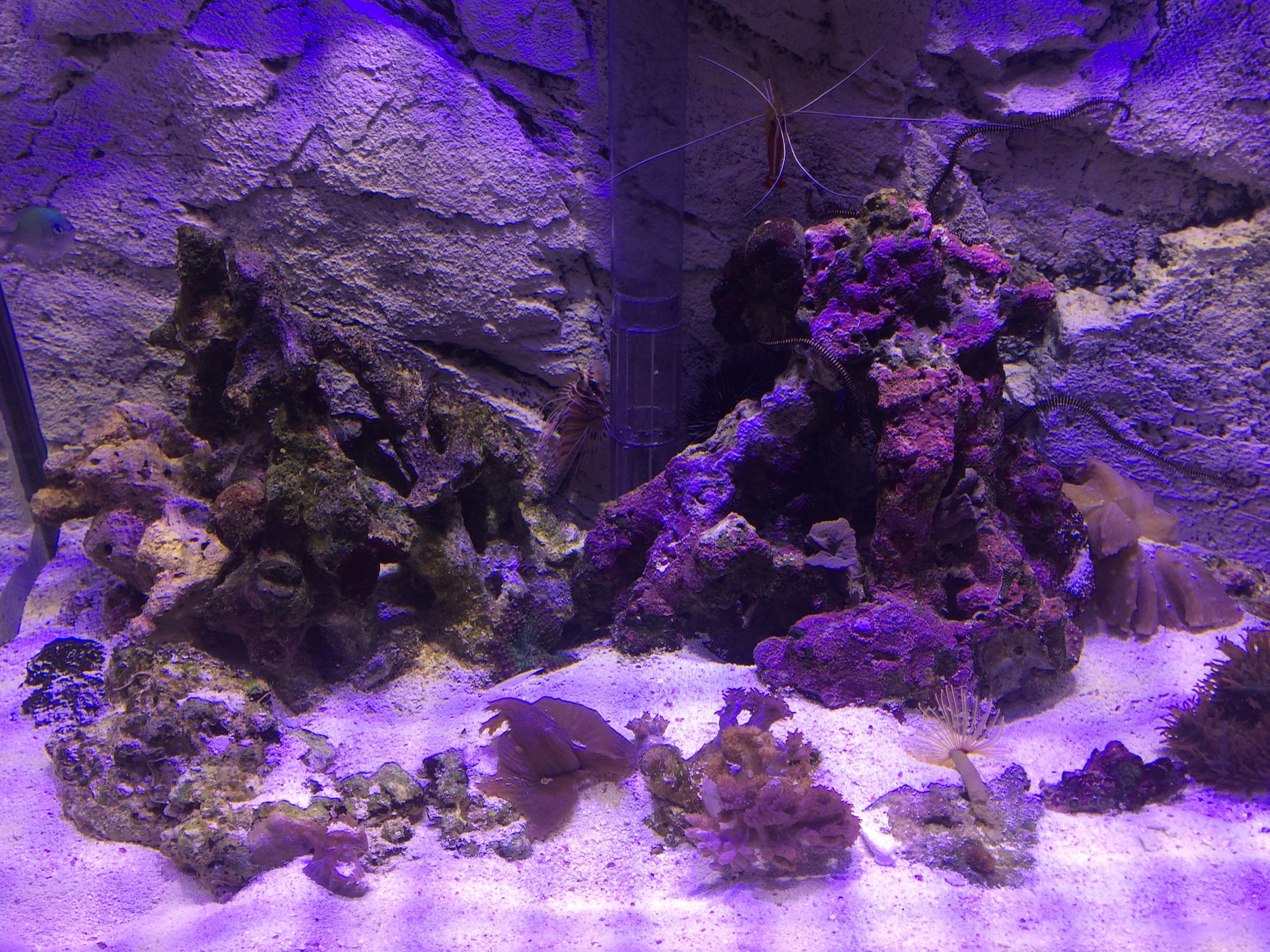 IMG_7327.jpg