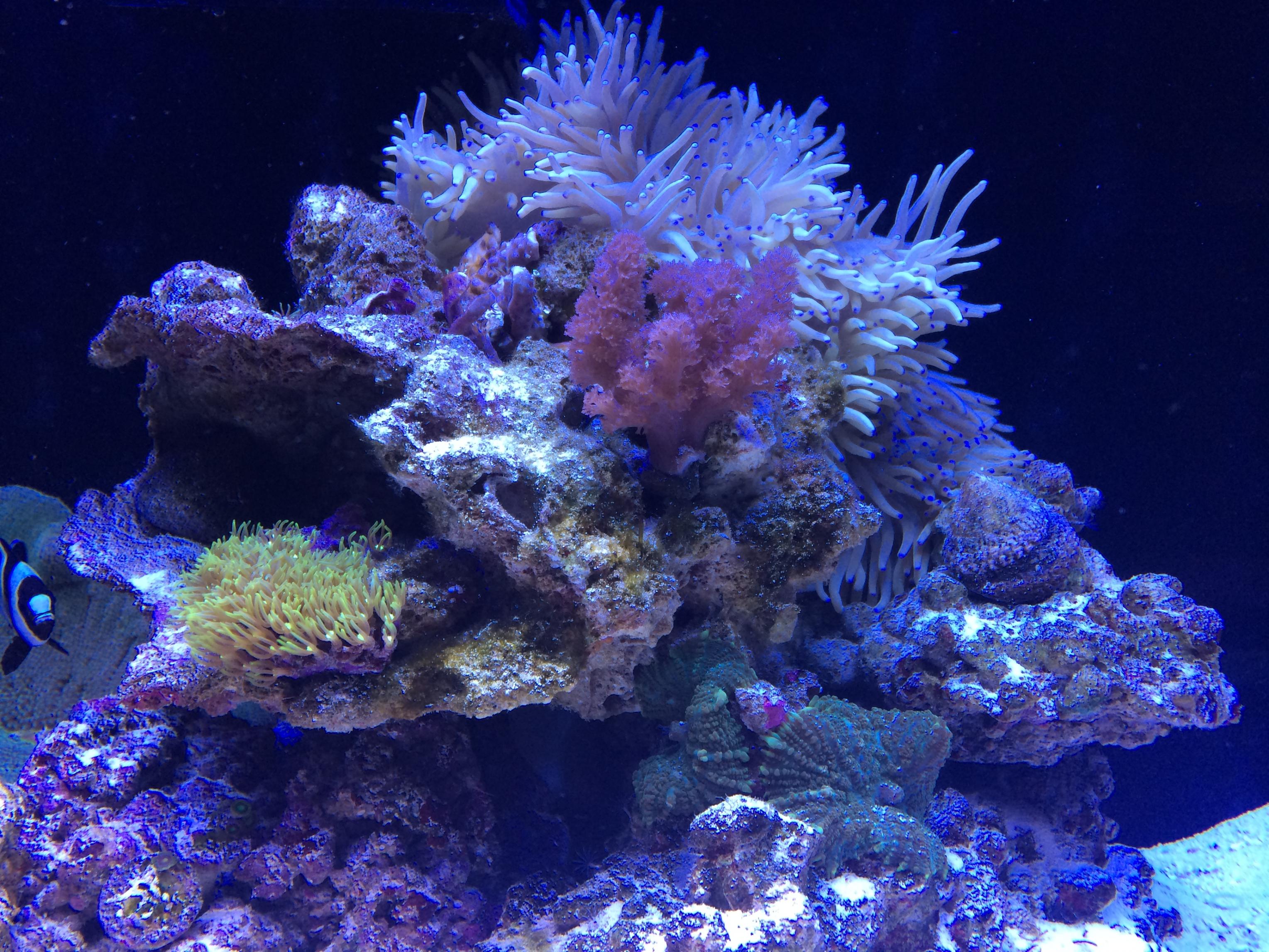IMG_1947.jpg