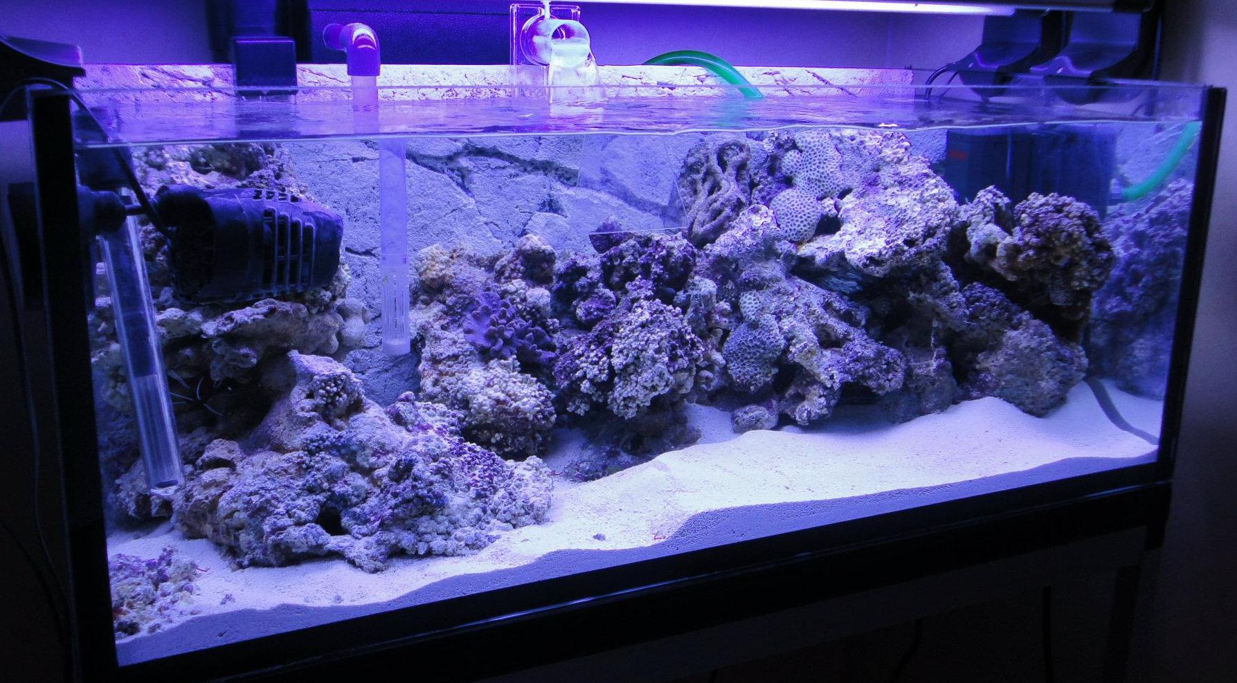 2011-12-01.jpg