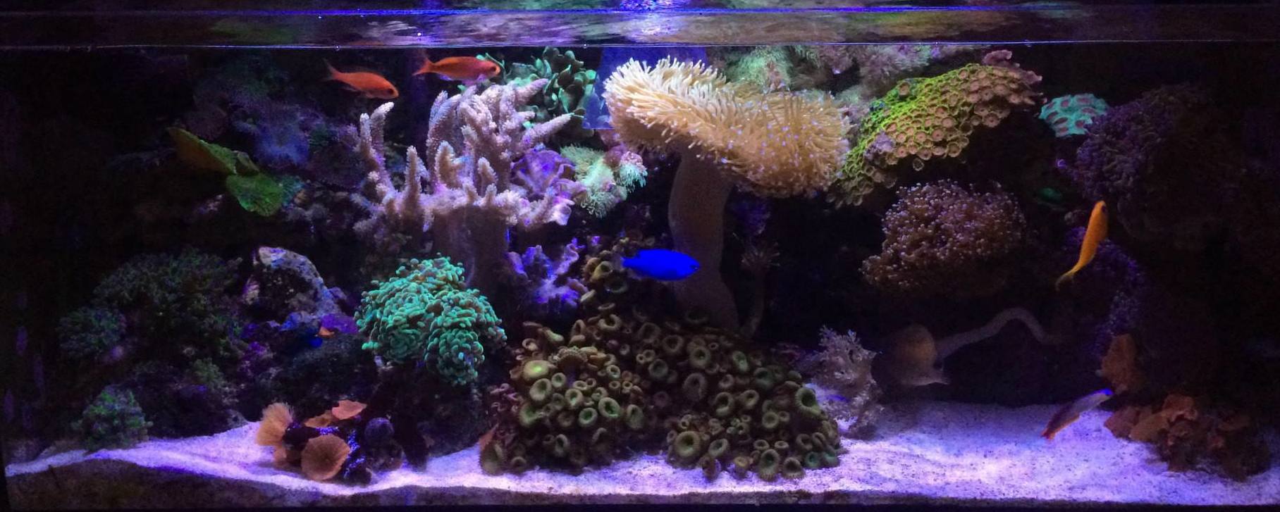 2013-12-11.jpg