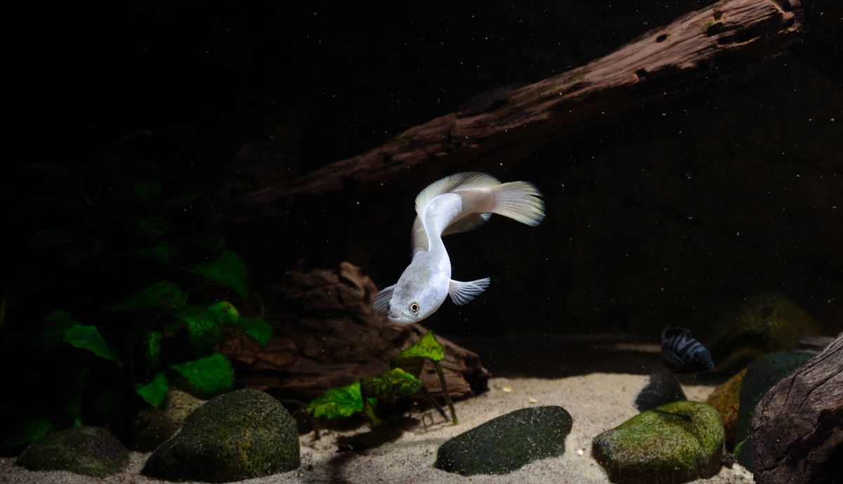 NikonD5100 226_01.JPG