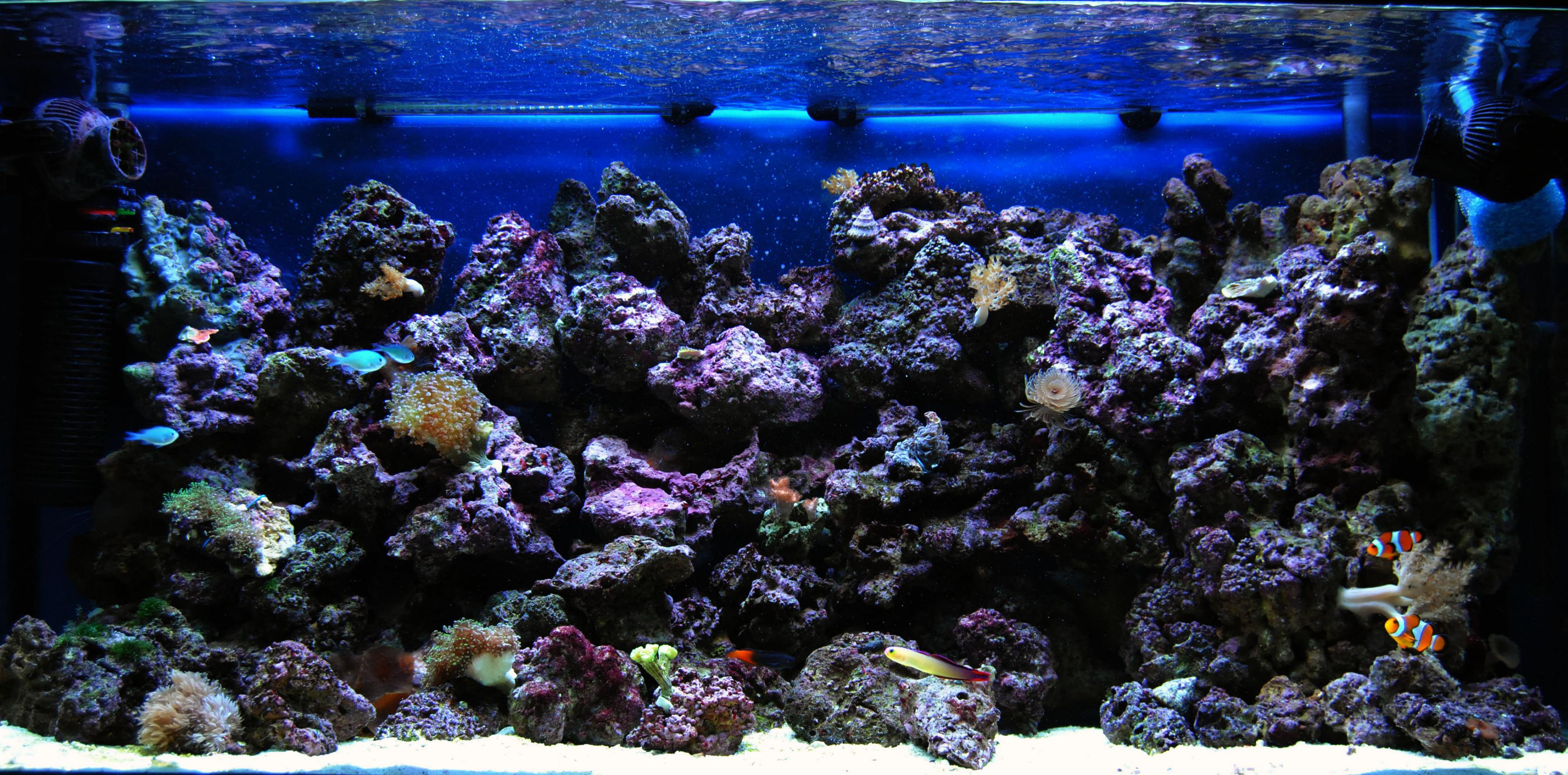 2012105 (2).jpg