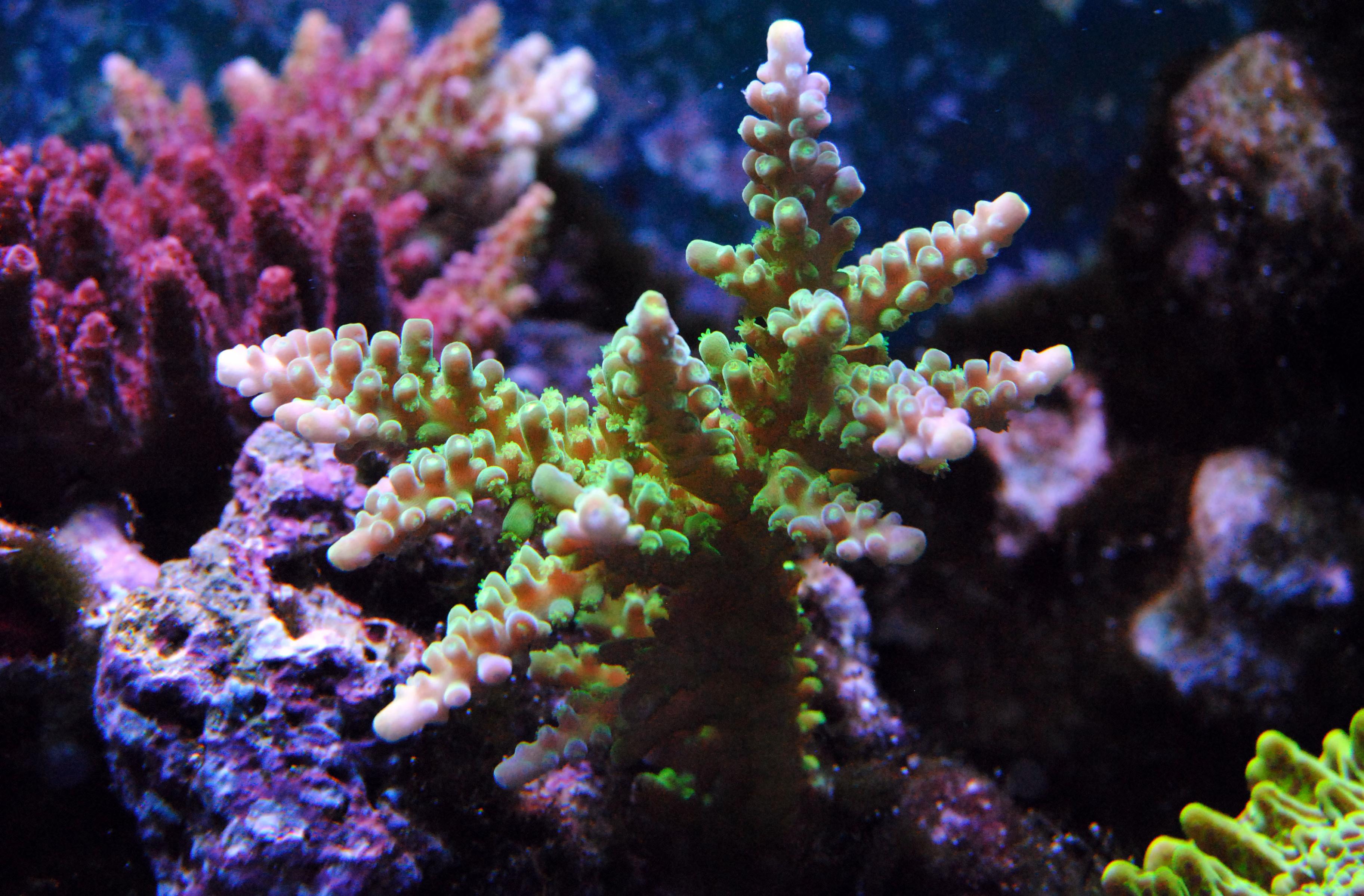 DSC_0117.jpg