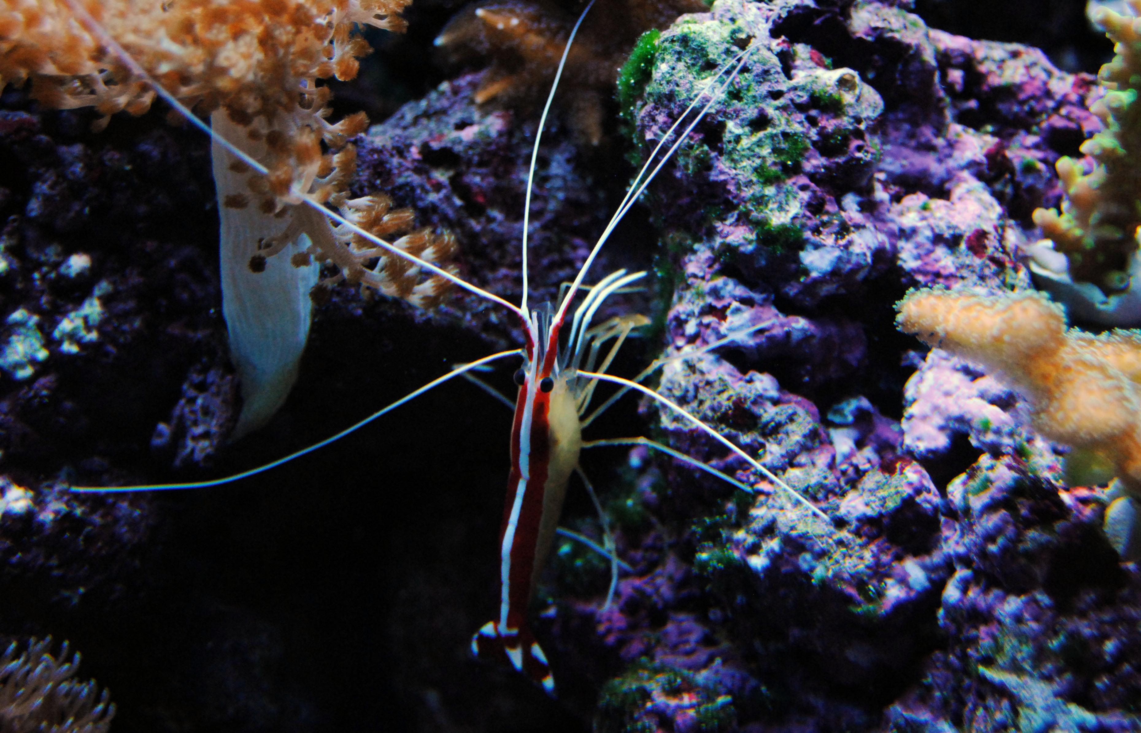 DSC_0318.jpg
