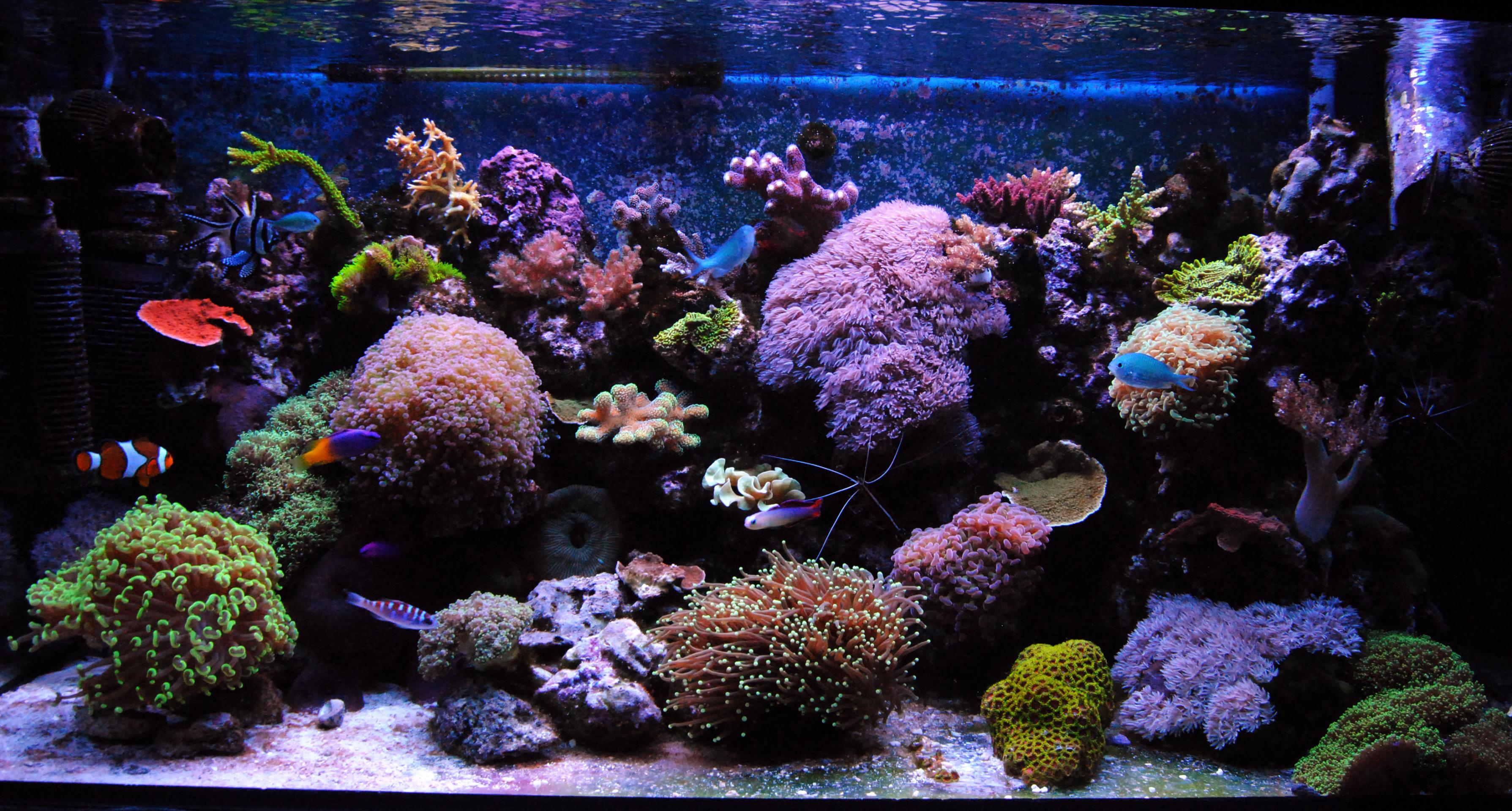 DSC_0057.jpg