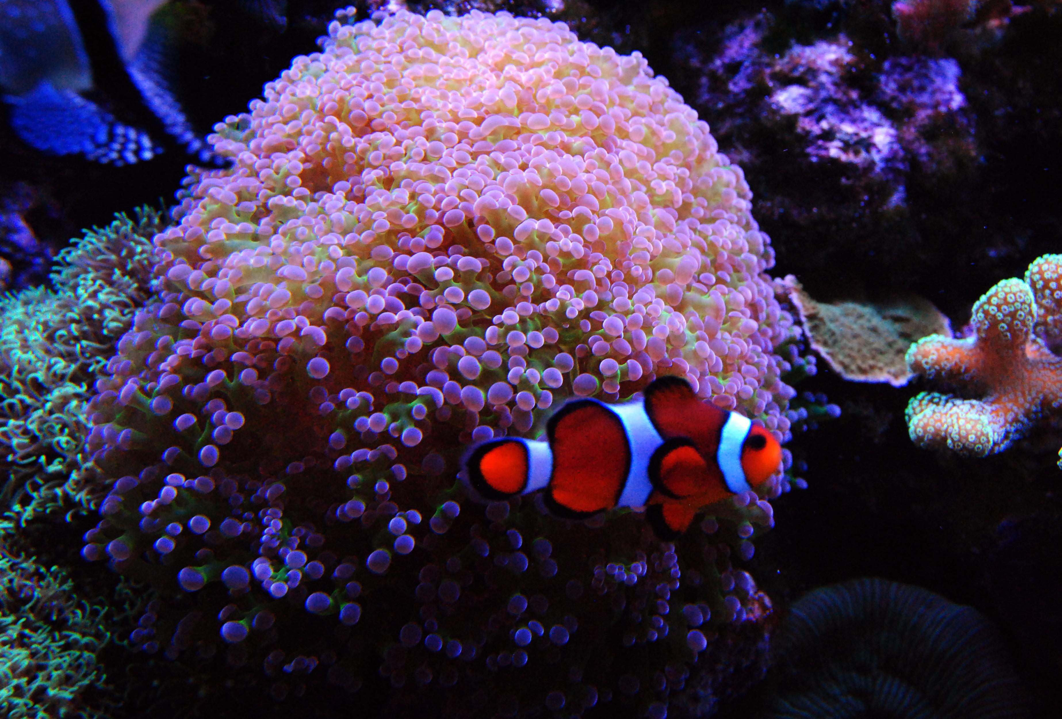 CSC_0111.jpg
