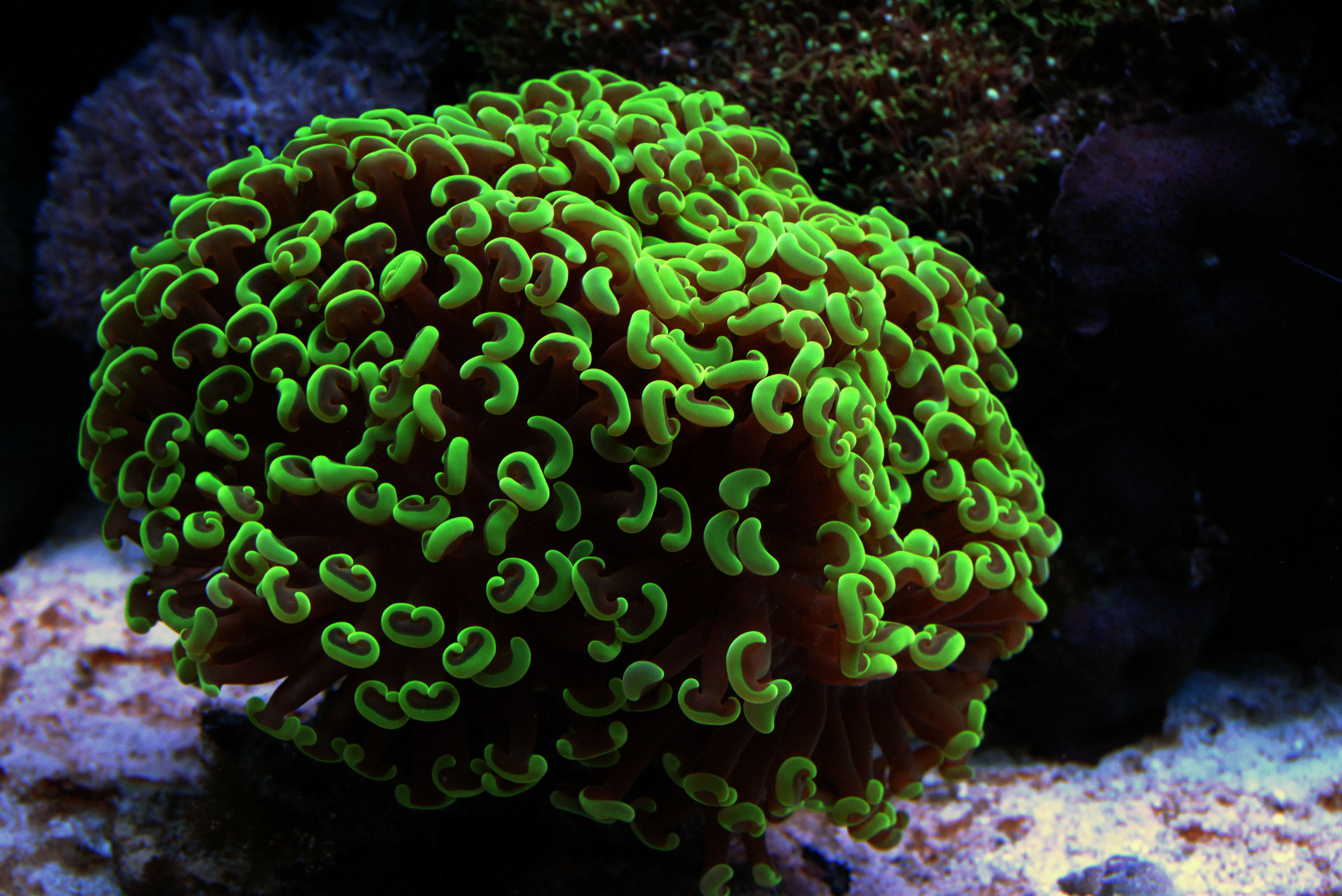 CSC_0525.jpg