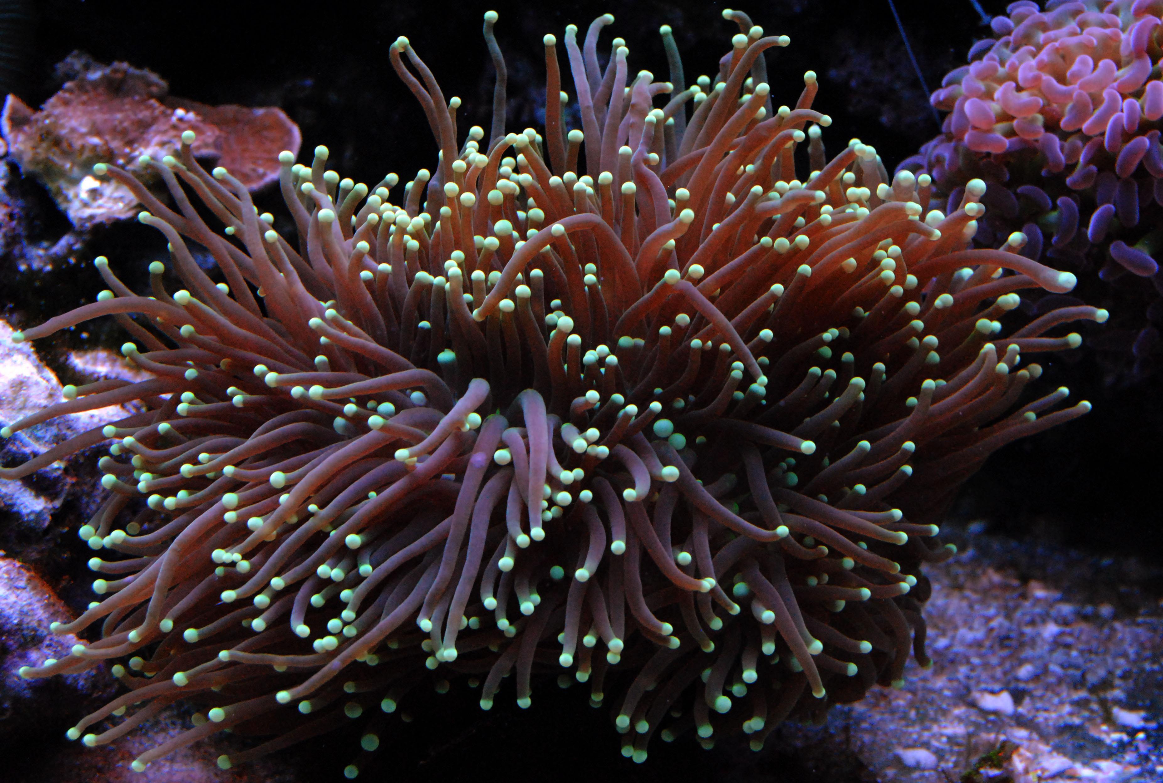 DSC_0101.jpg