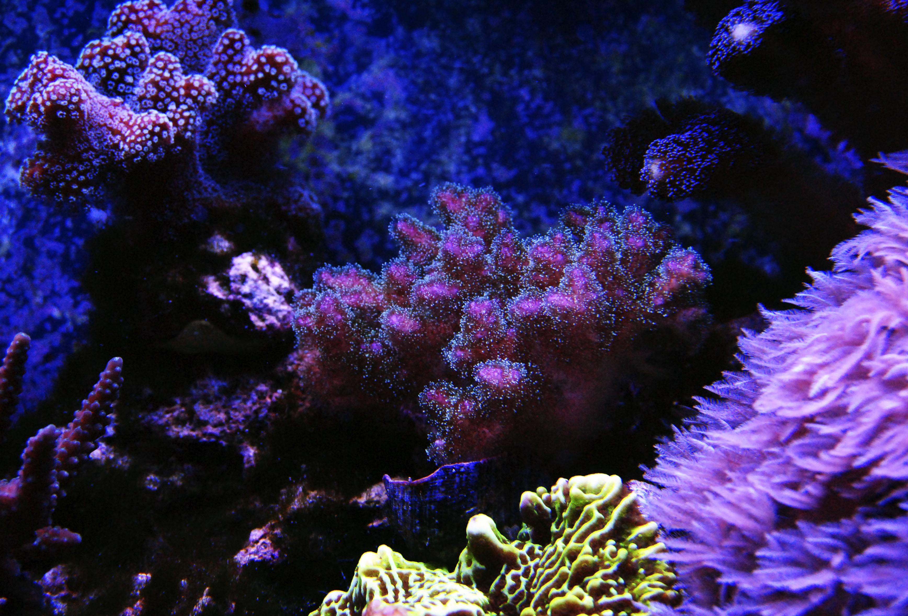 CSC_0230.jpg