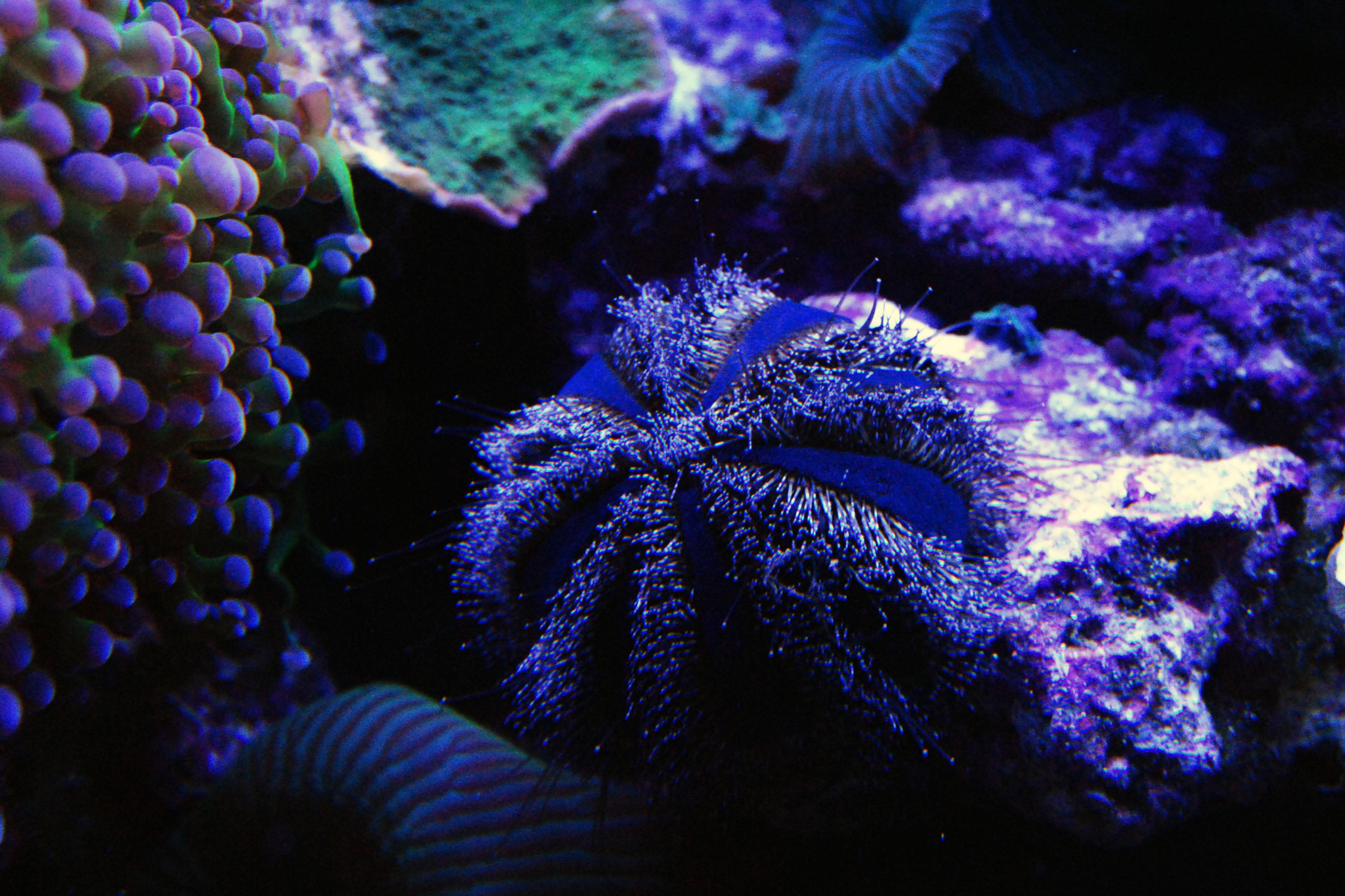 CSC_0158.jpg
