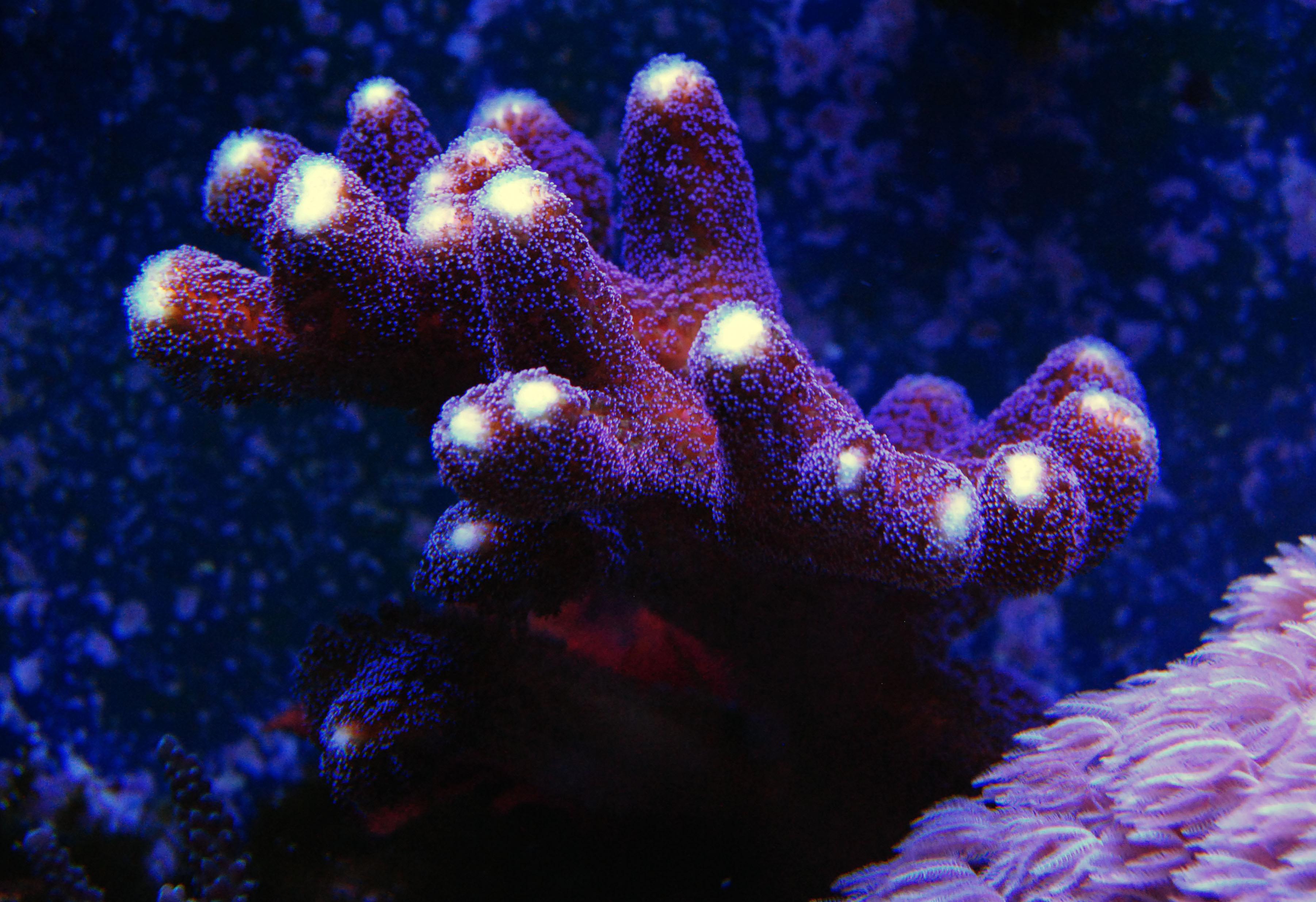 CSC_0116.jpg