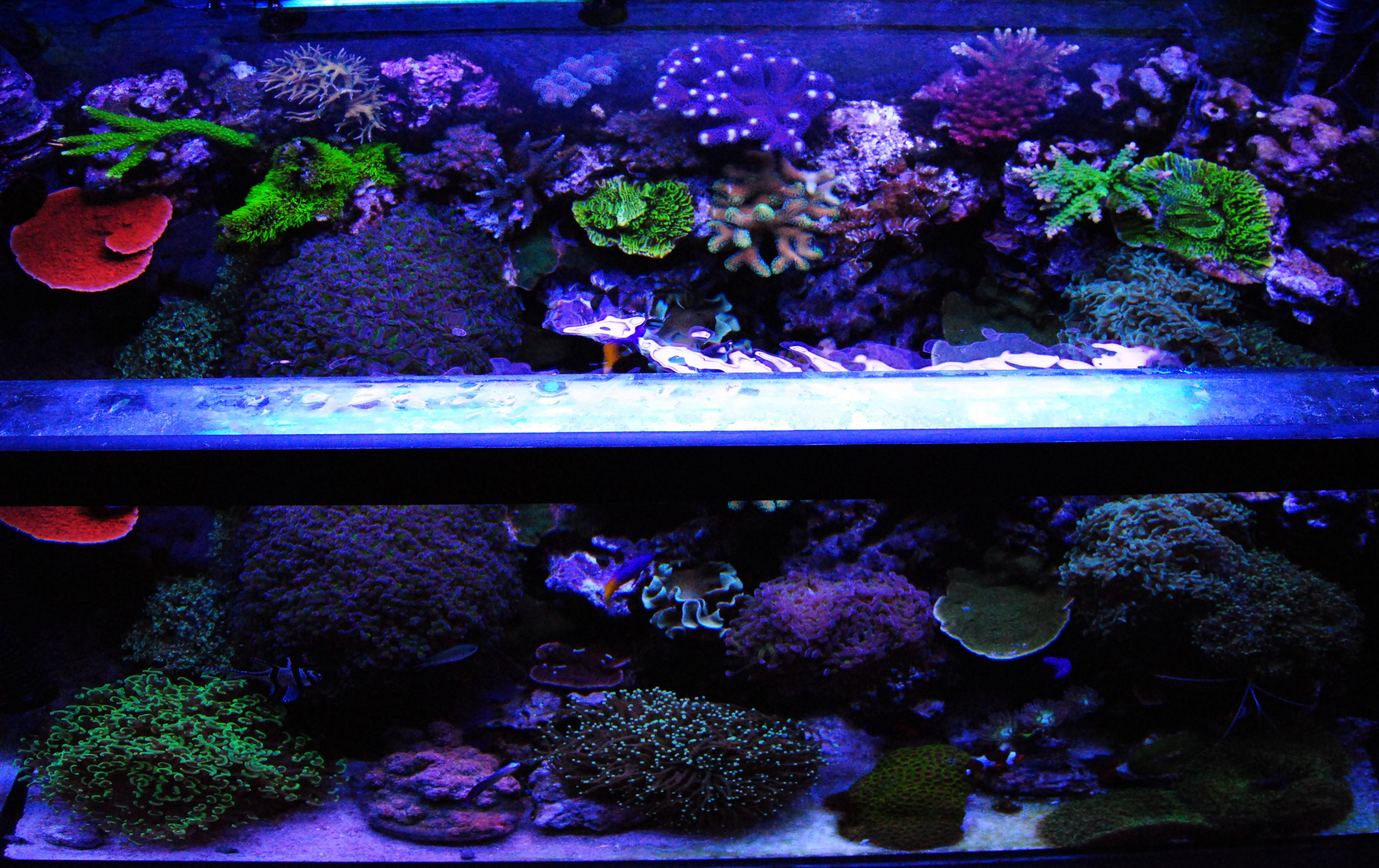 CSC_0044.jpg