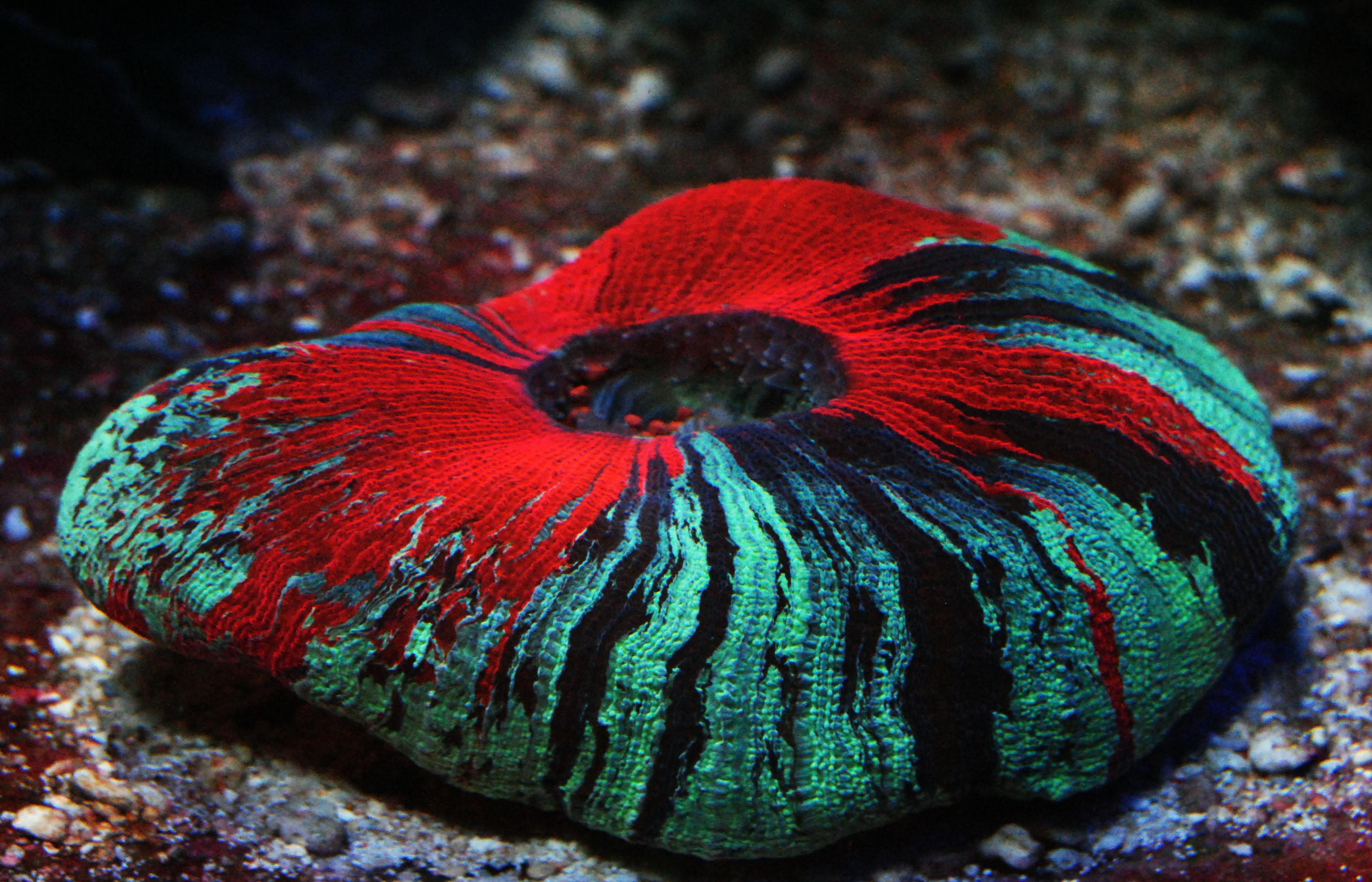 CSC_0066.jpg