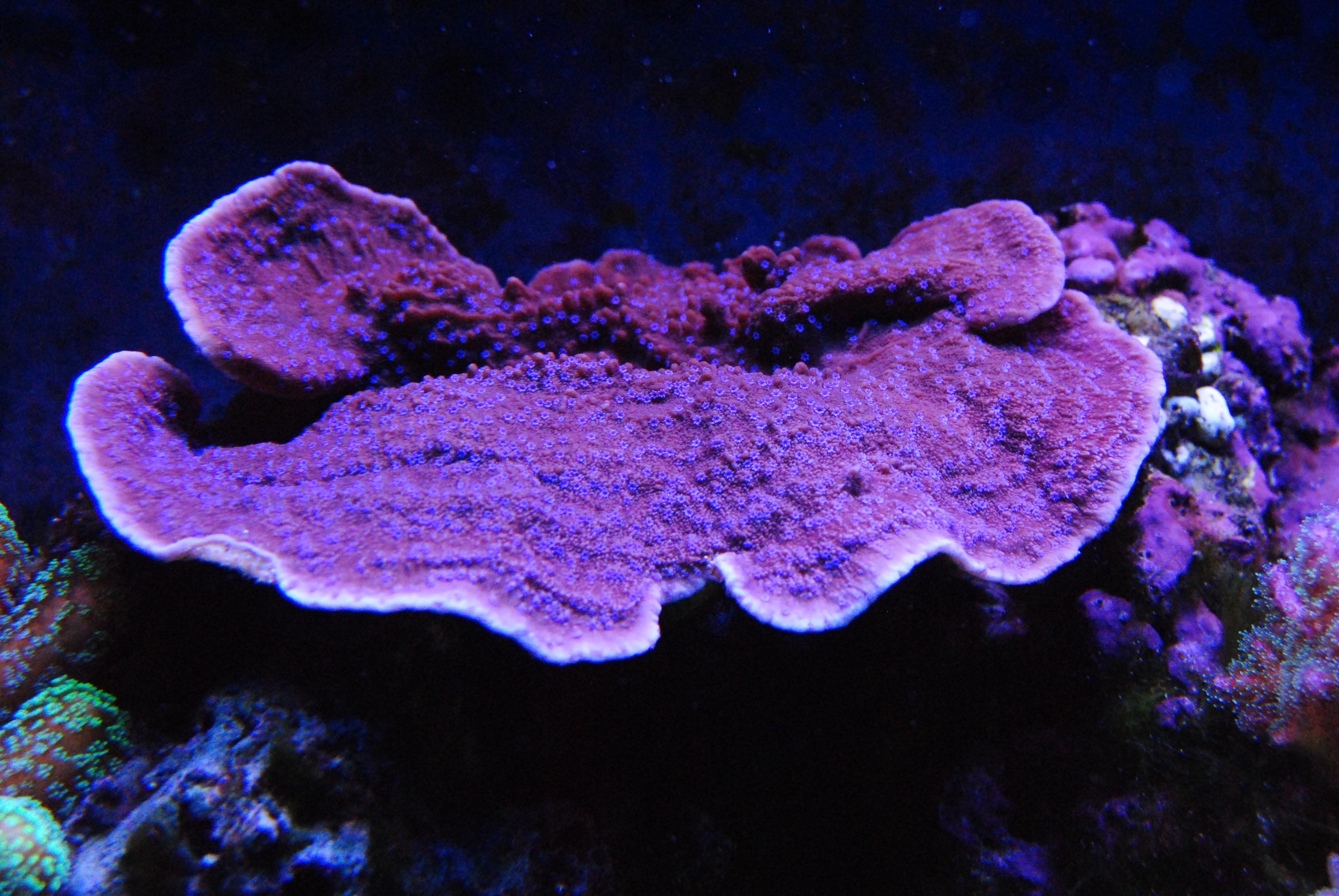 CSC_0276.jpg
