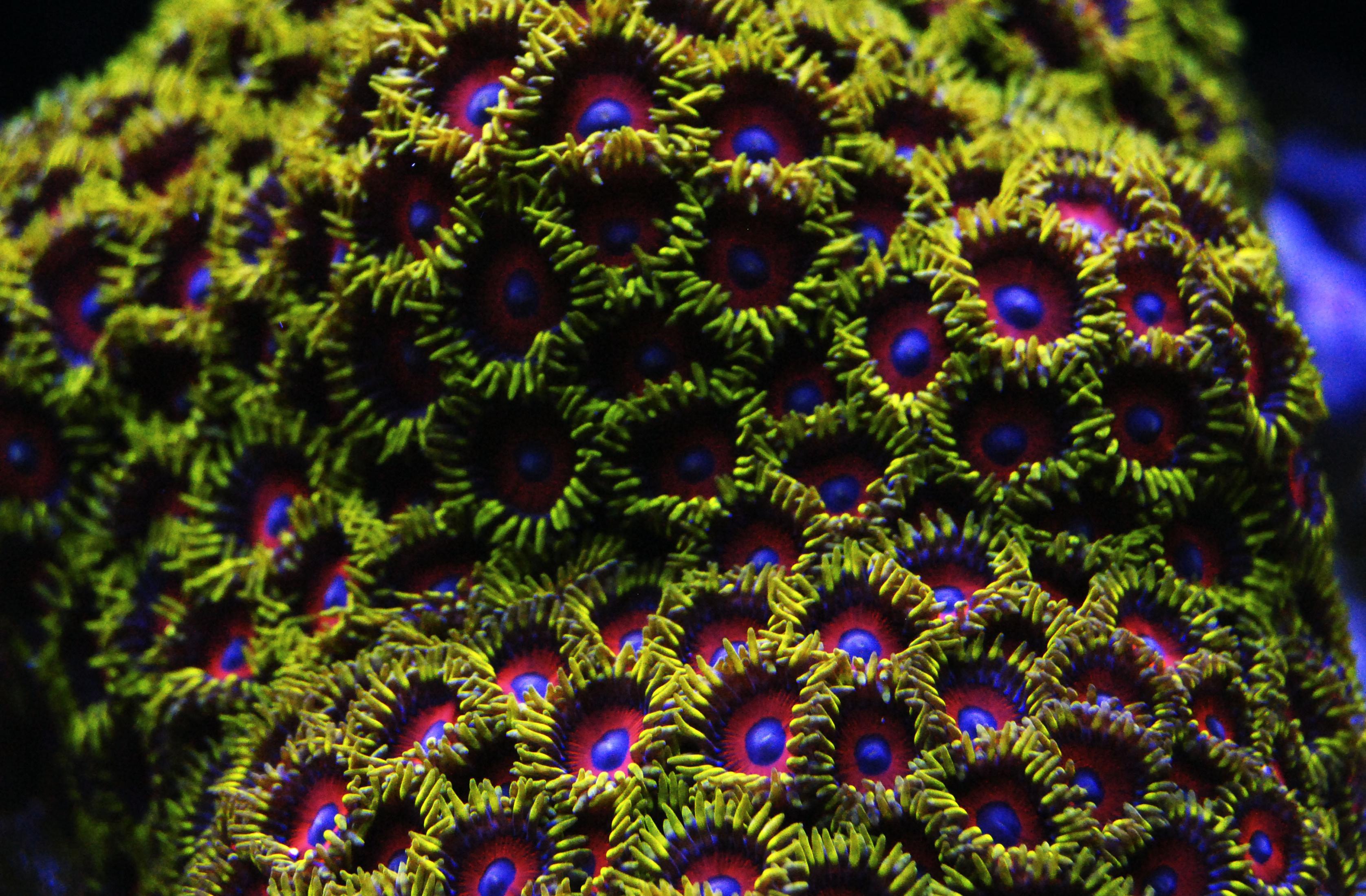 CSC_0240.jpg