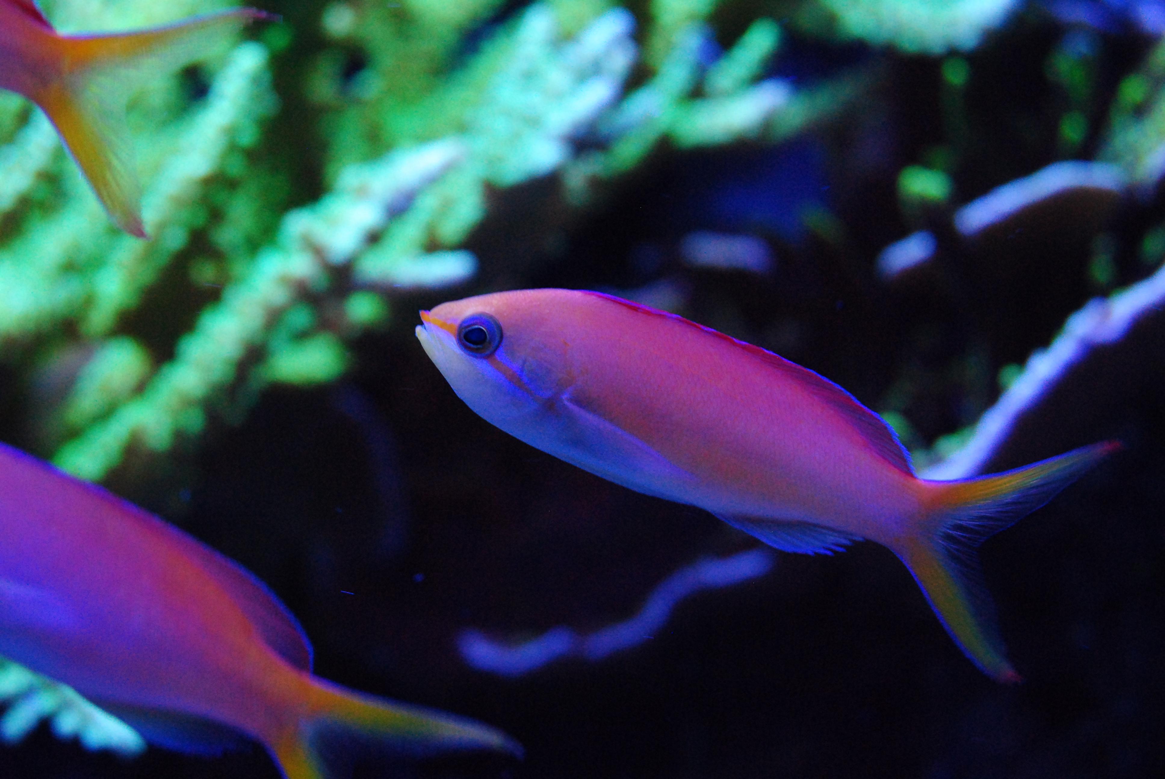 CSC_0240.jpg