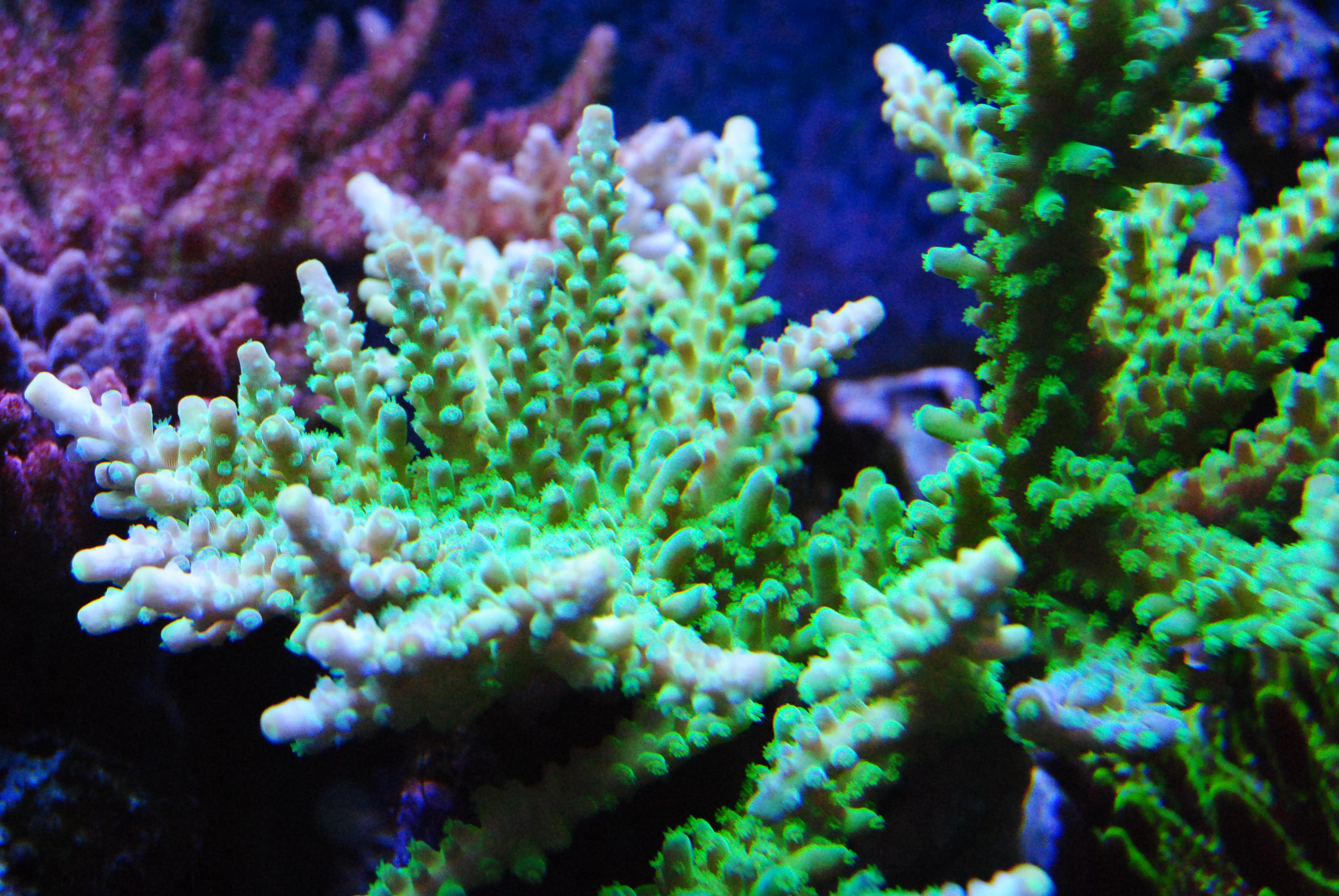 CSC_0280.jpg