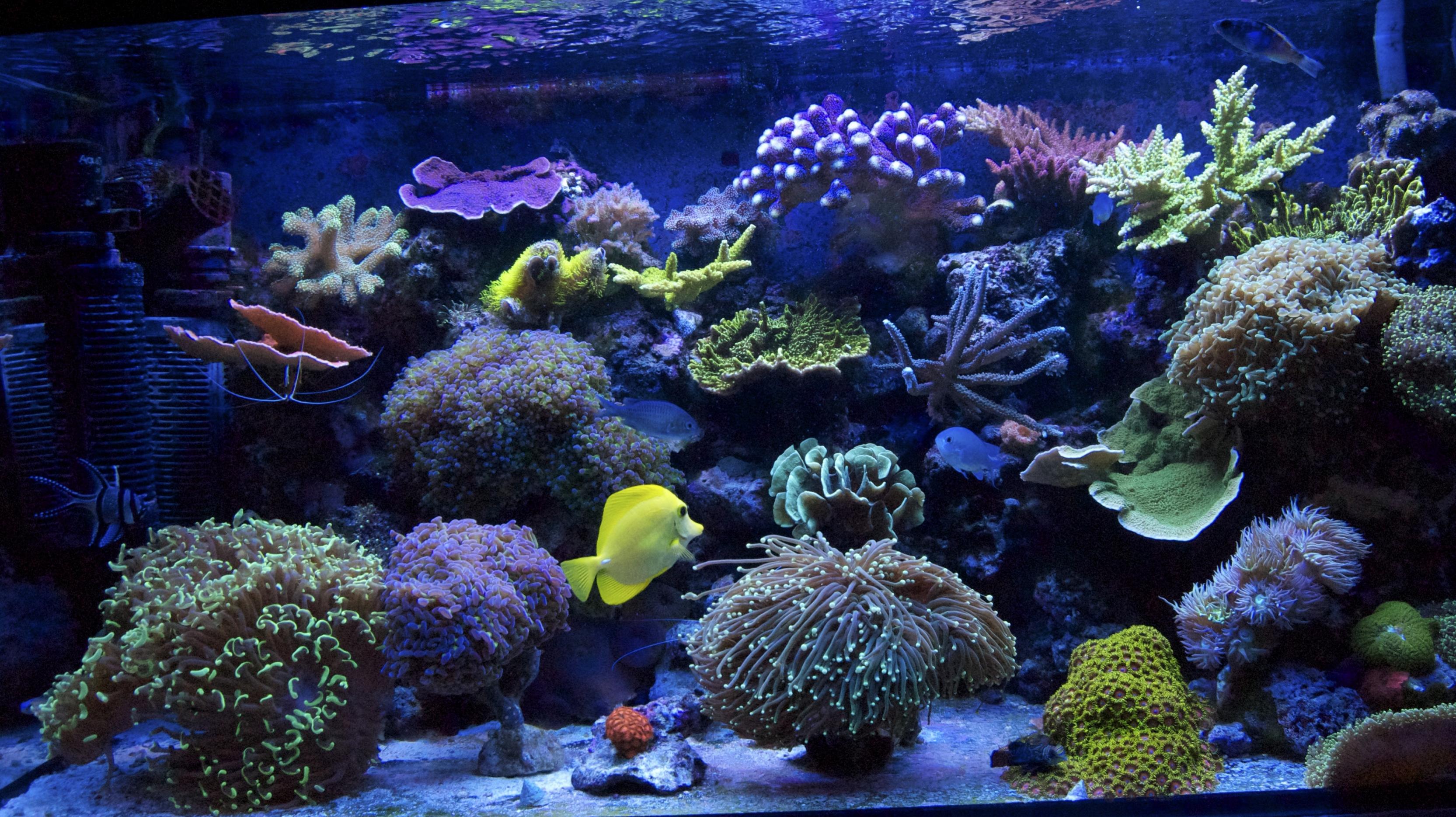 DSC_0199_Fotor.jpg