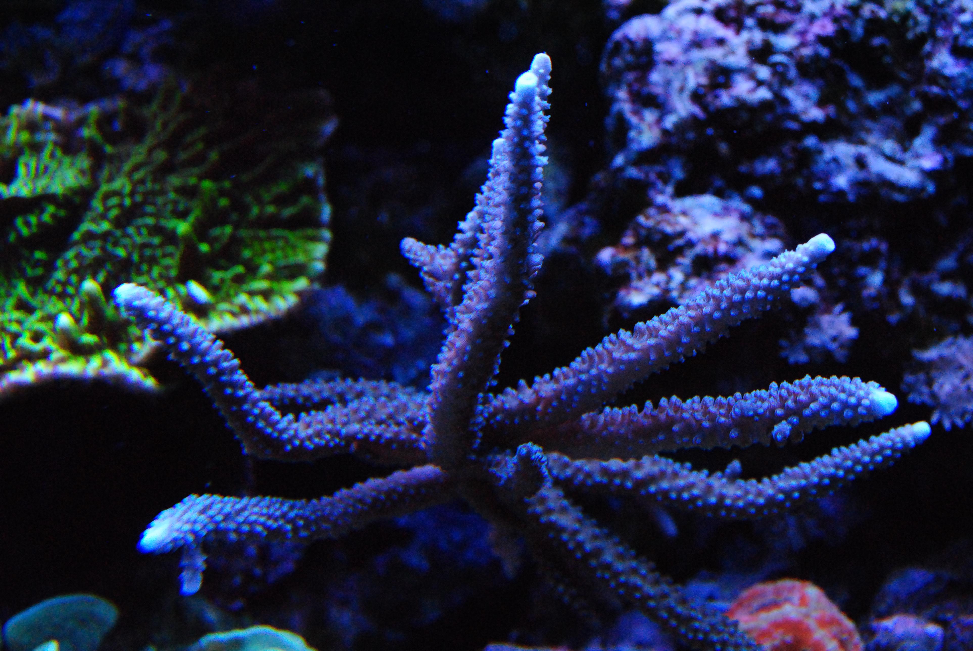CSC_0281.jpg
