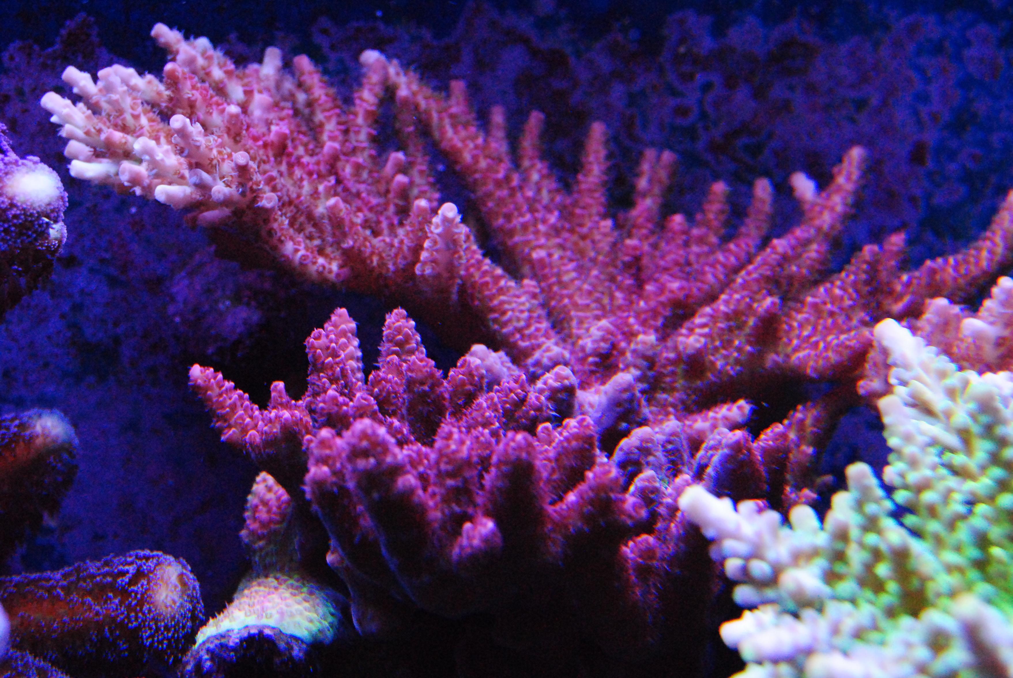 CSC_0279.jpg