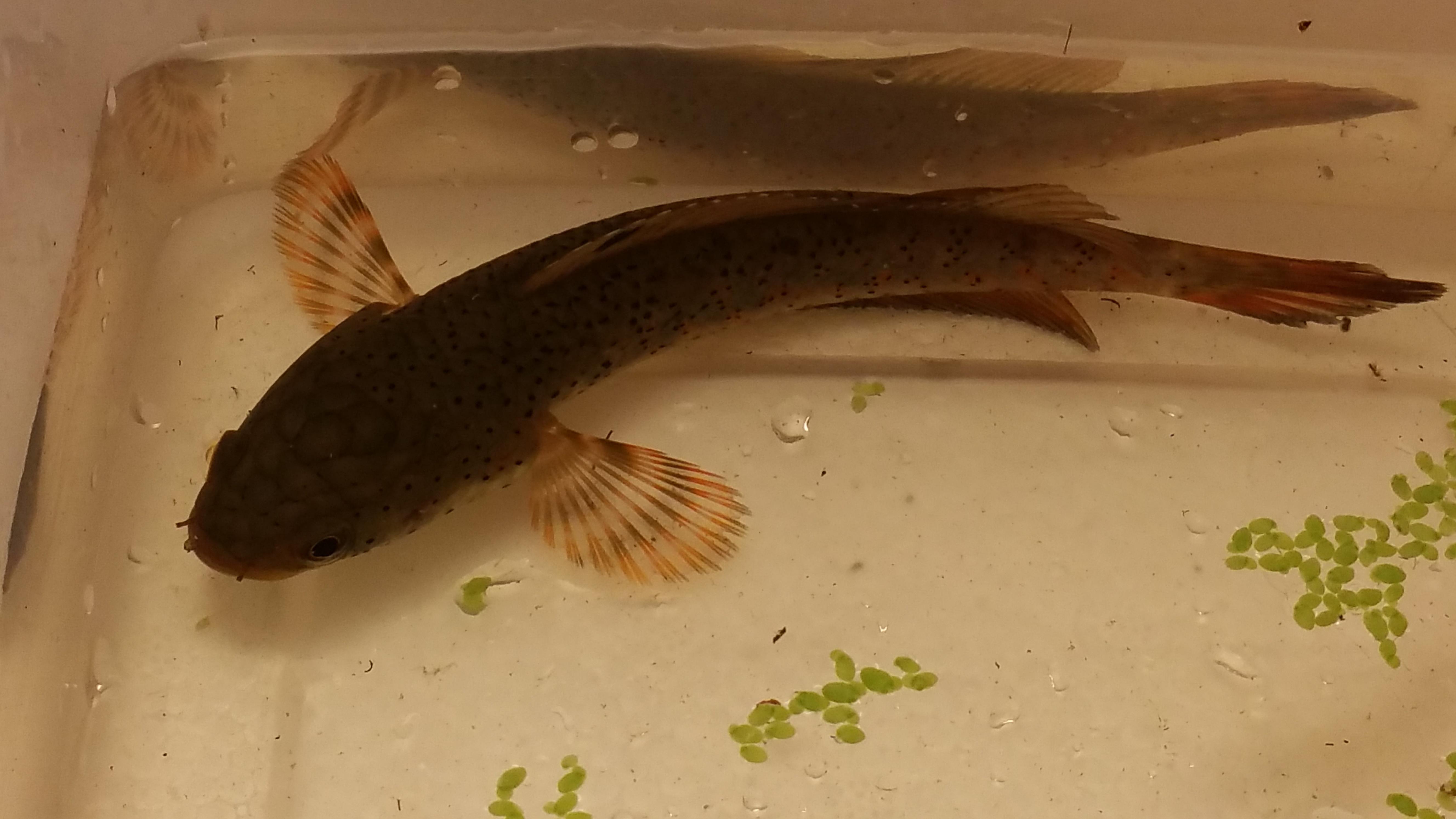 20151005_140647.jpg