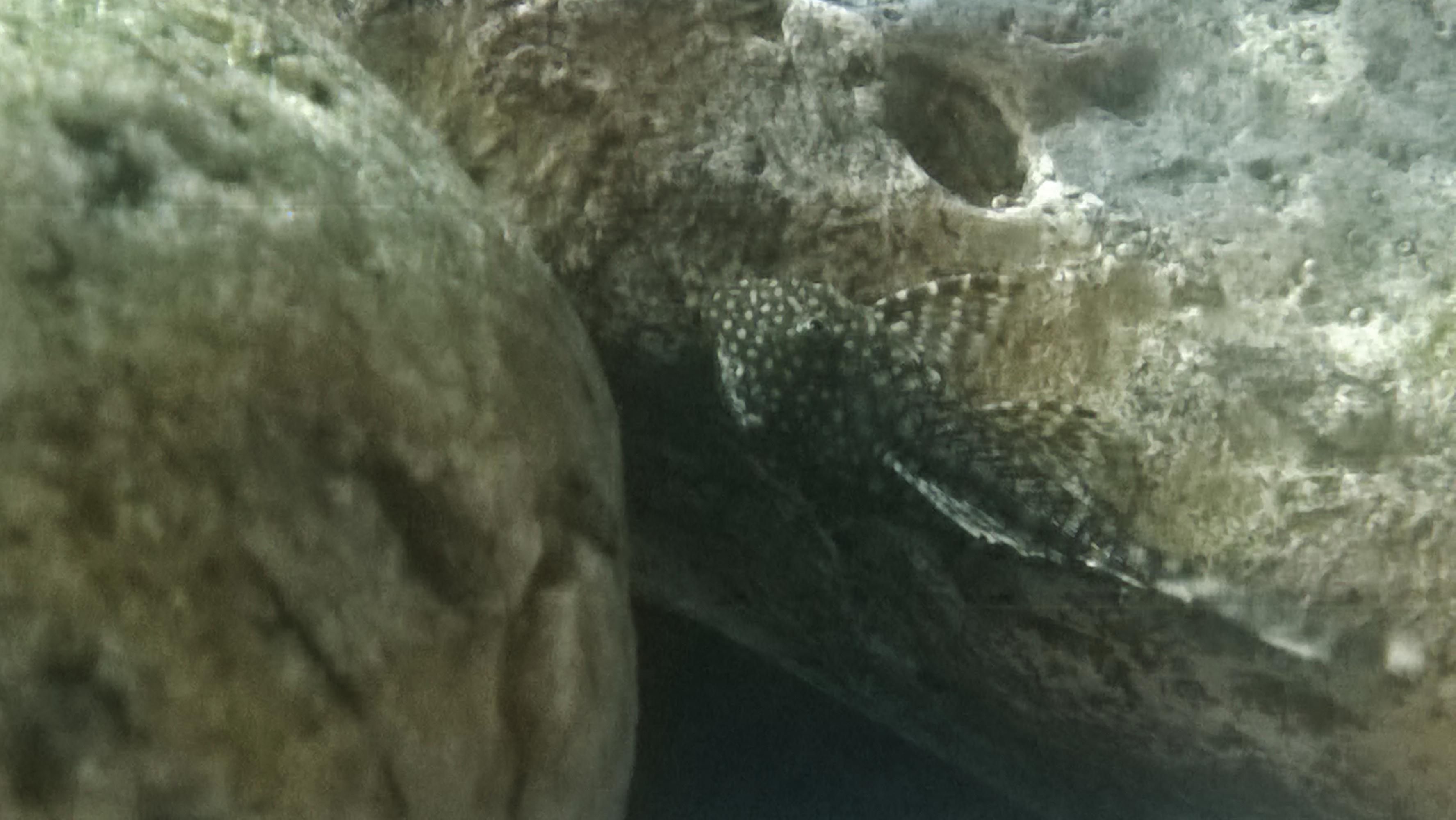WP_20160111_015.jpg