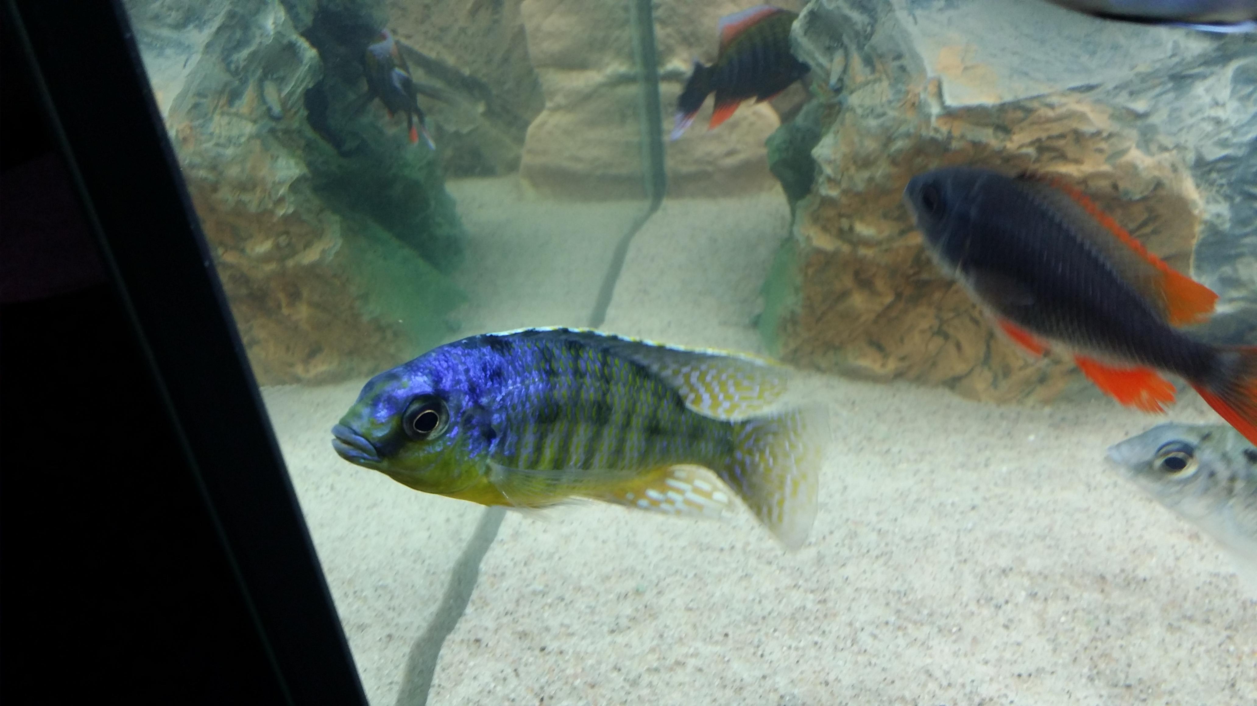 20150221_155641.jpg