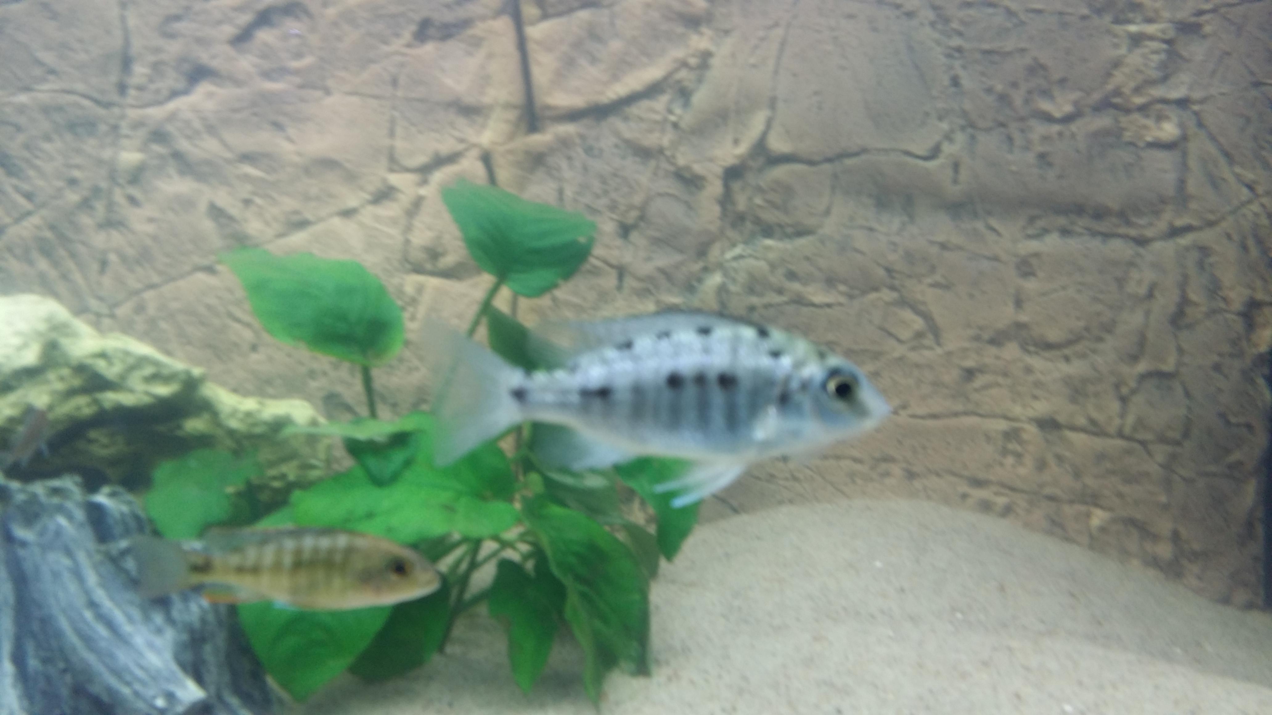 20150221_155522.jpg
