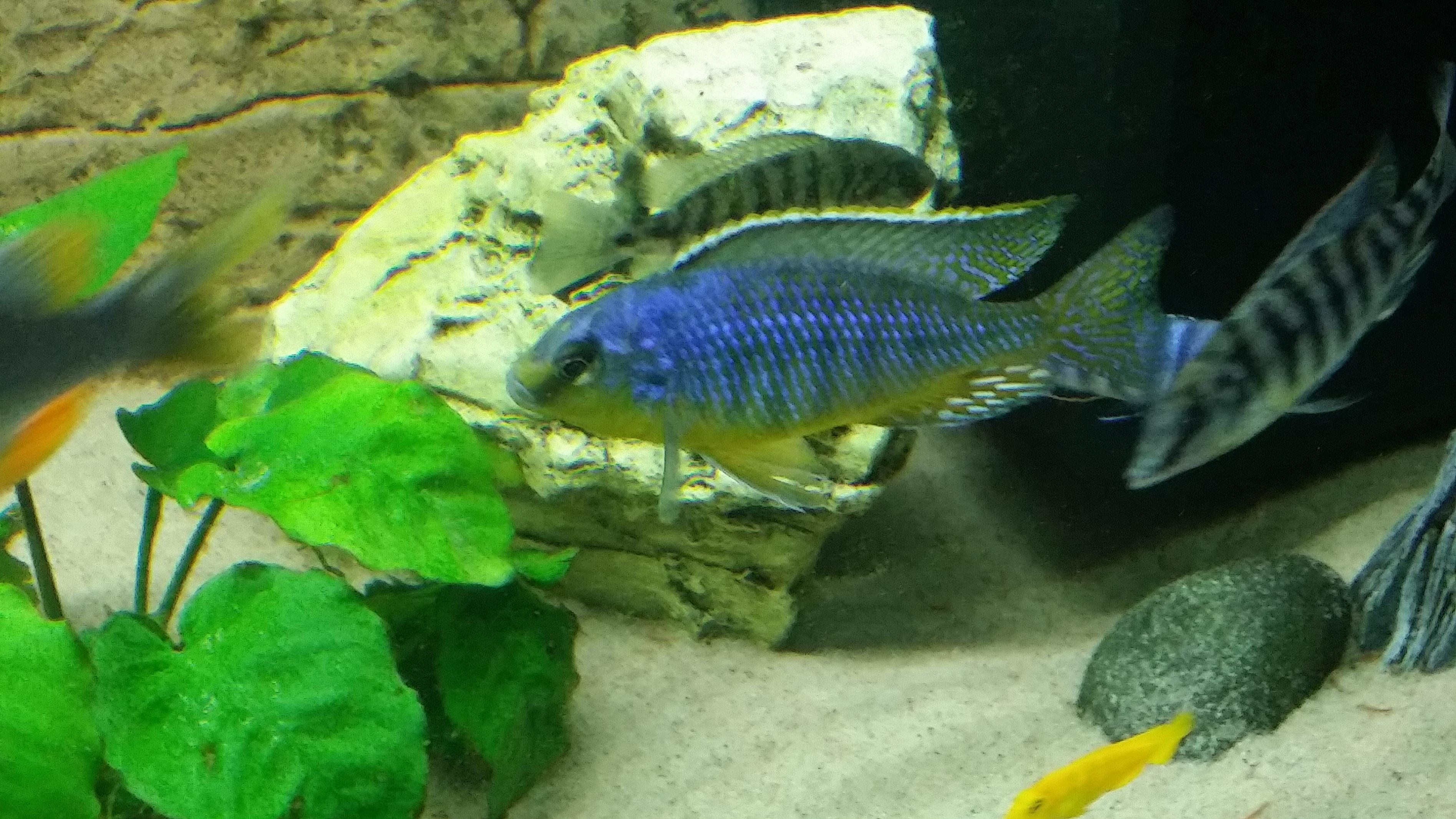 20150319_180413.jpg