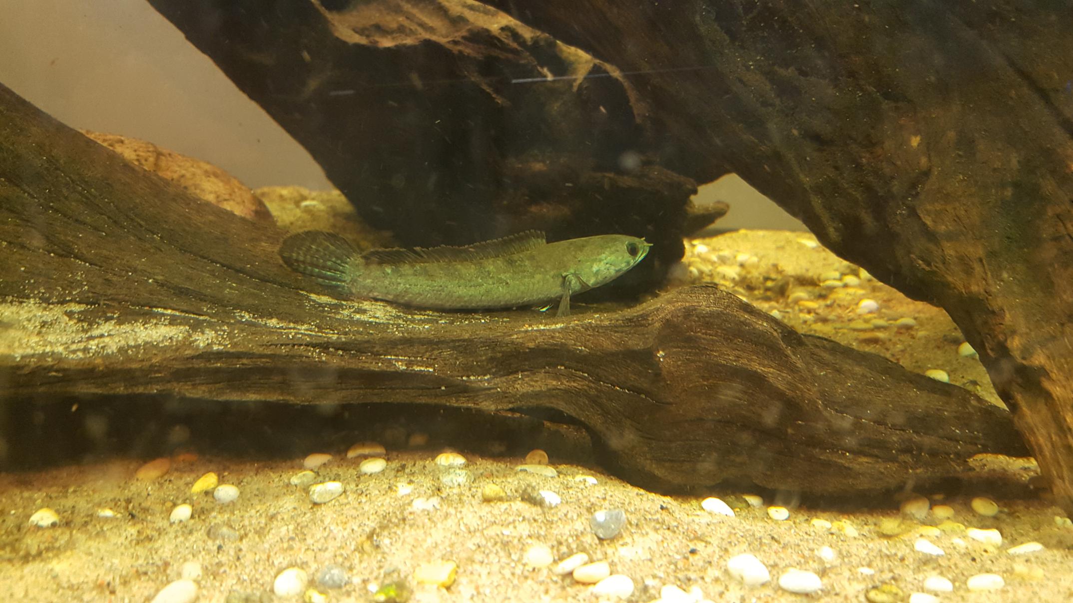20151119_205249.jpg