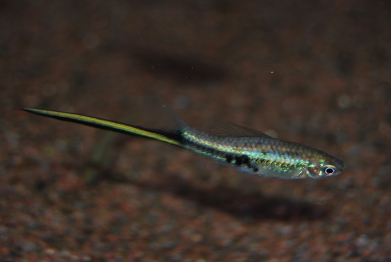 DSC_0897.jpg