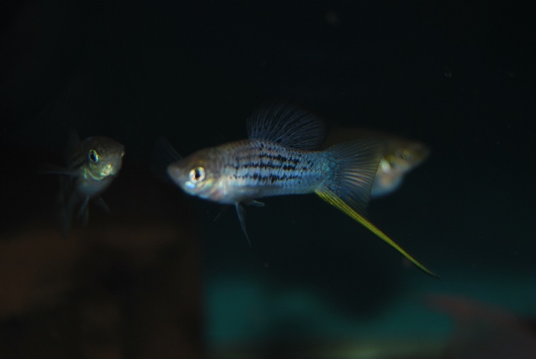 DSC_08297.jpg
