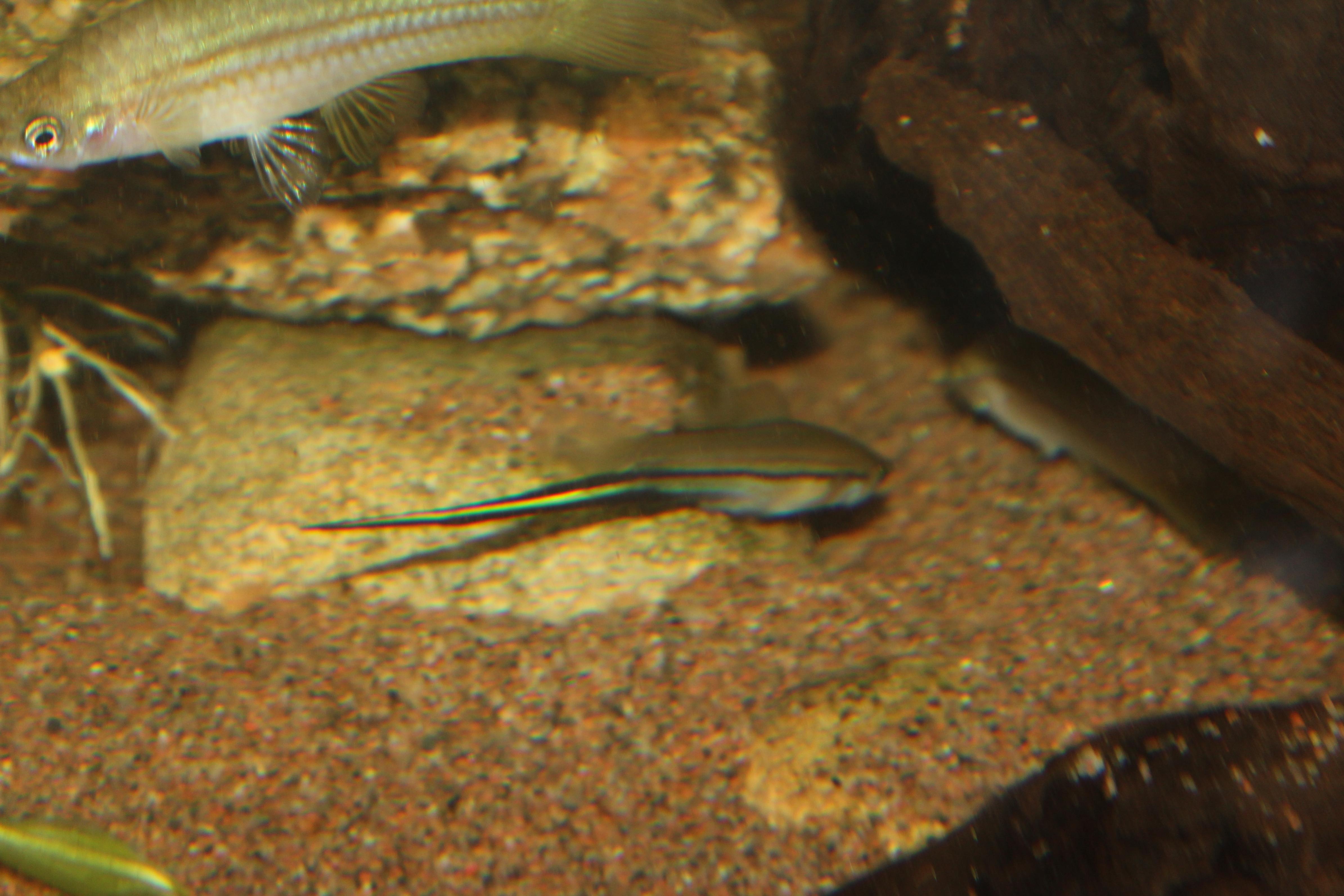IMG_0436.jpg