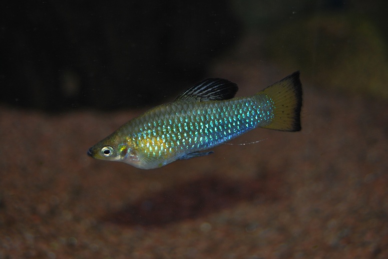 DSC_0895.jpg