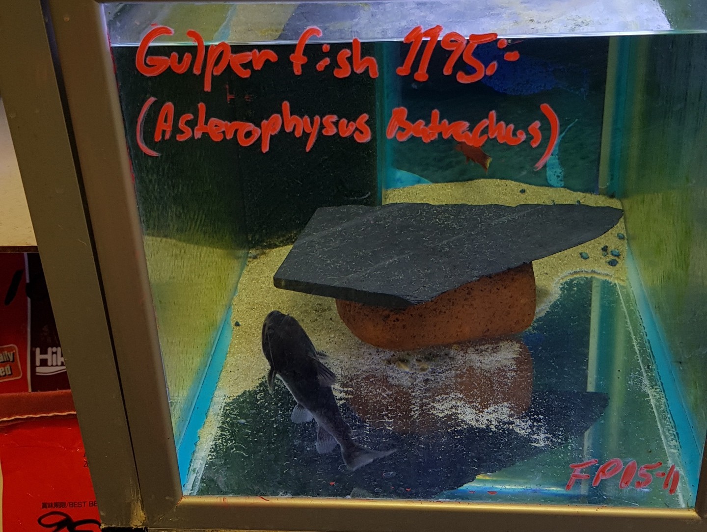 57846.jpg