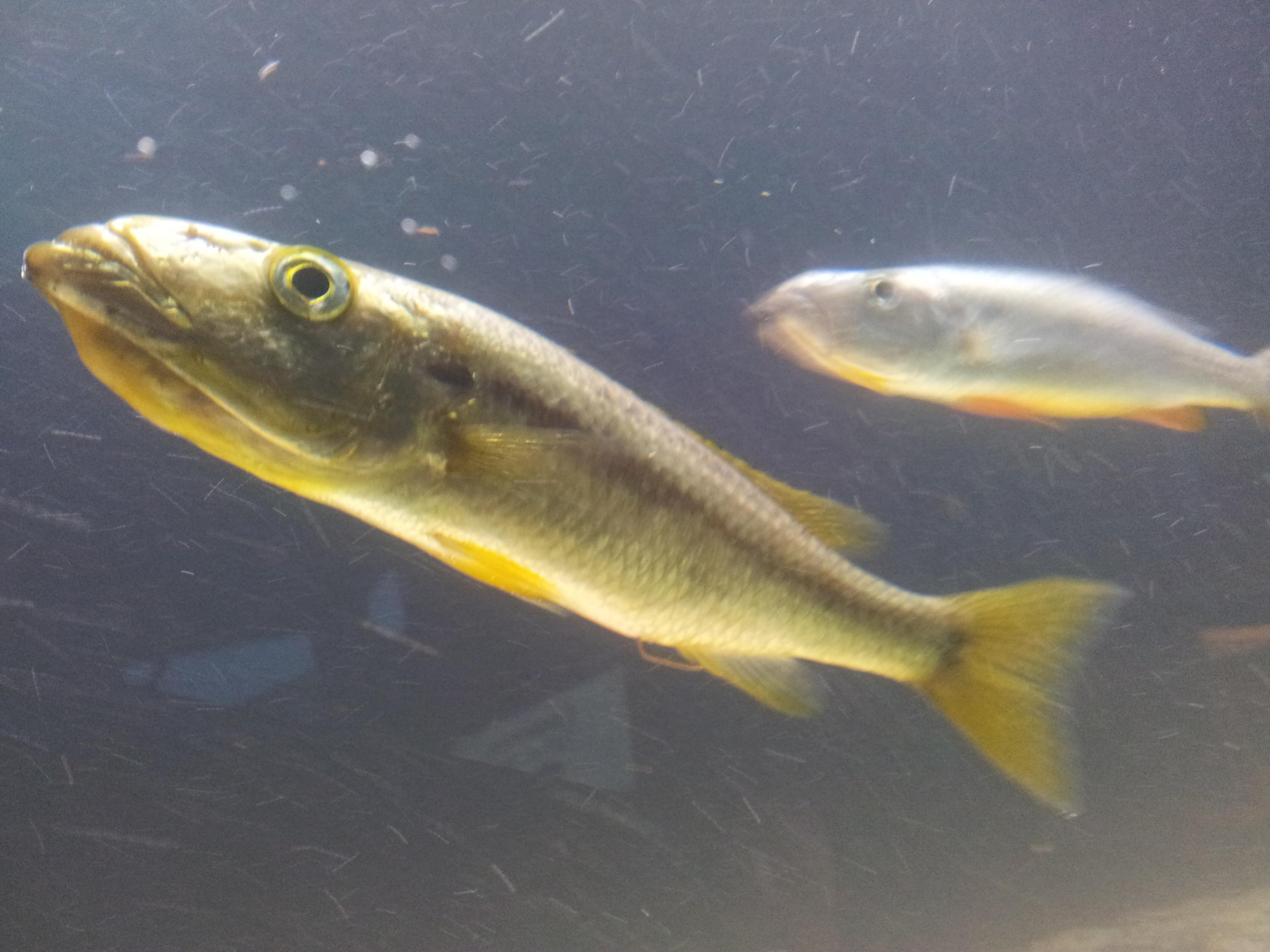 20120410_195544.jpg