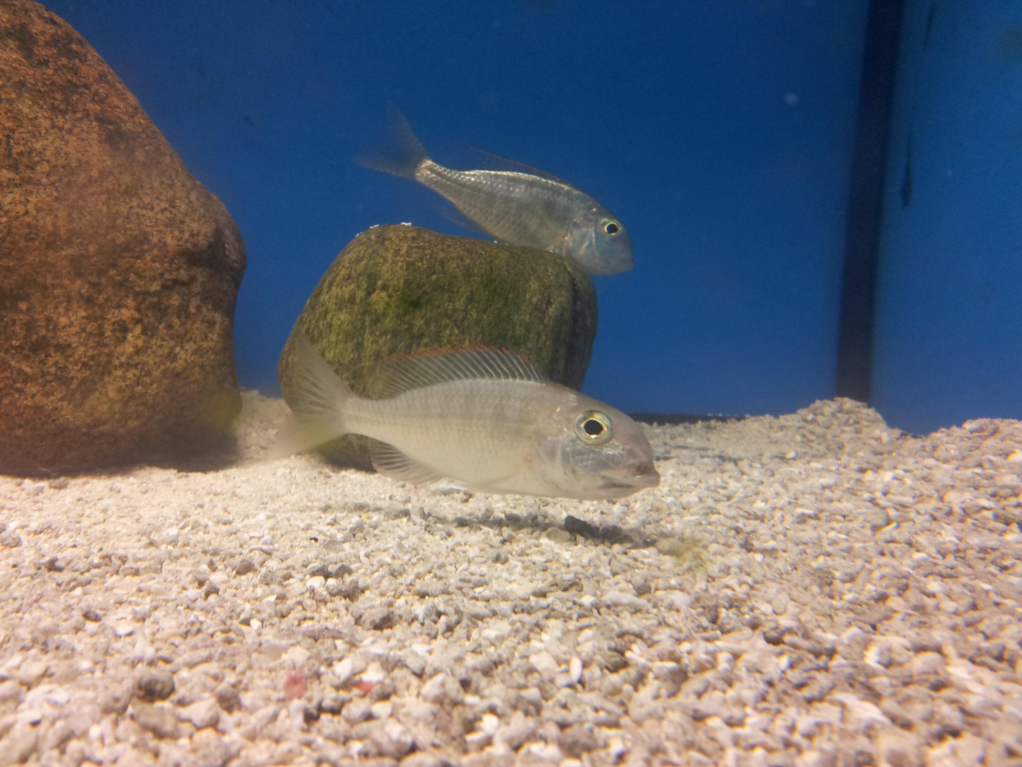 20120410_195748.jpg