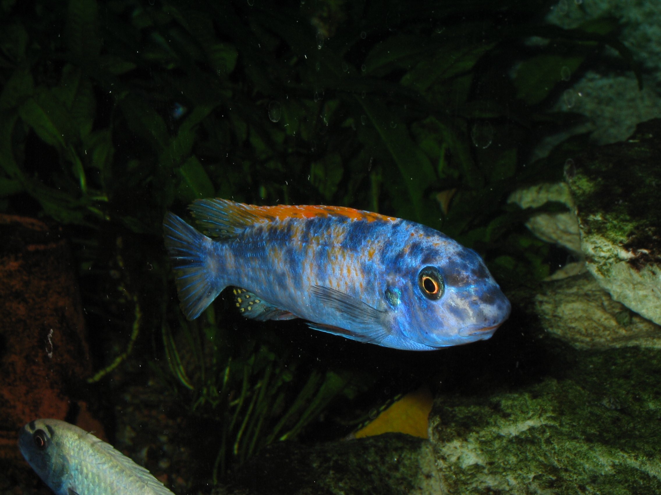 IMG_1214.jpg