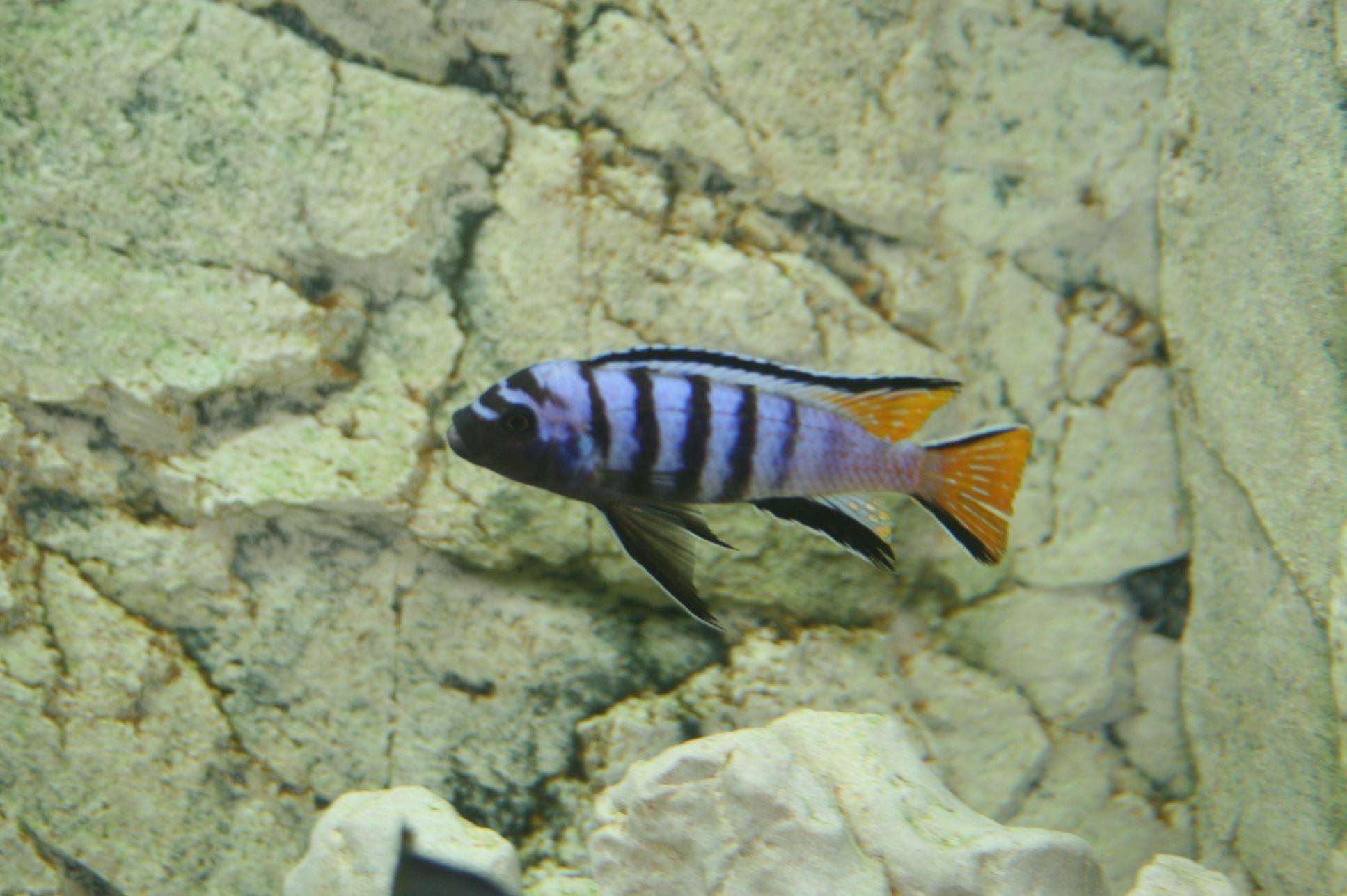 IMG_5500.jpg