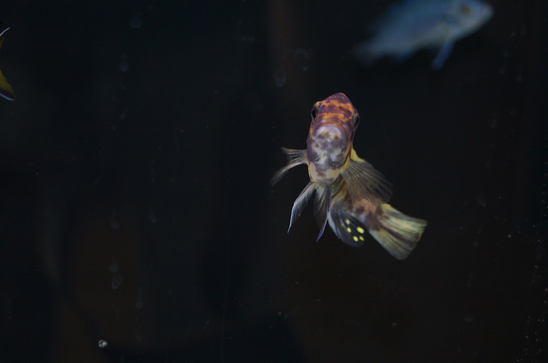 DSC01813hjyhjhj.jpg