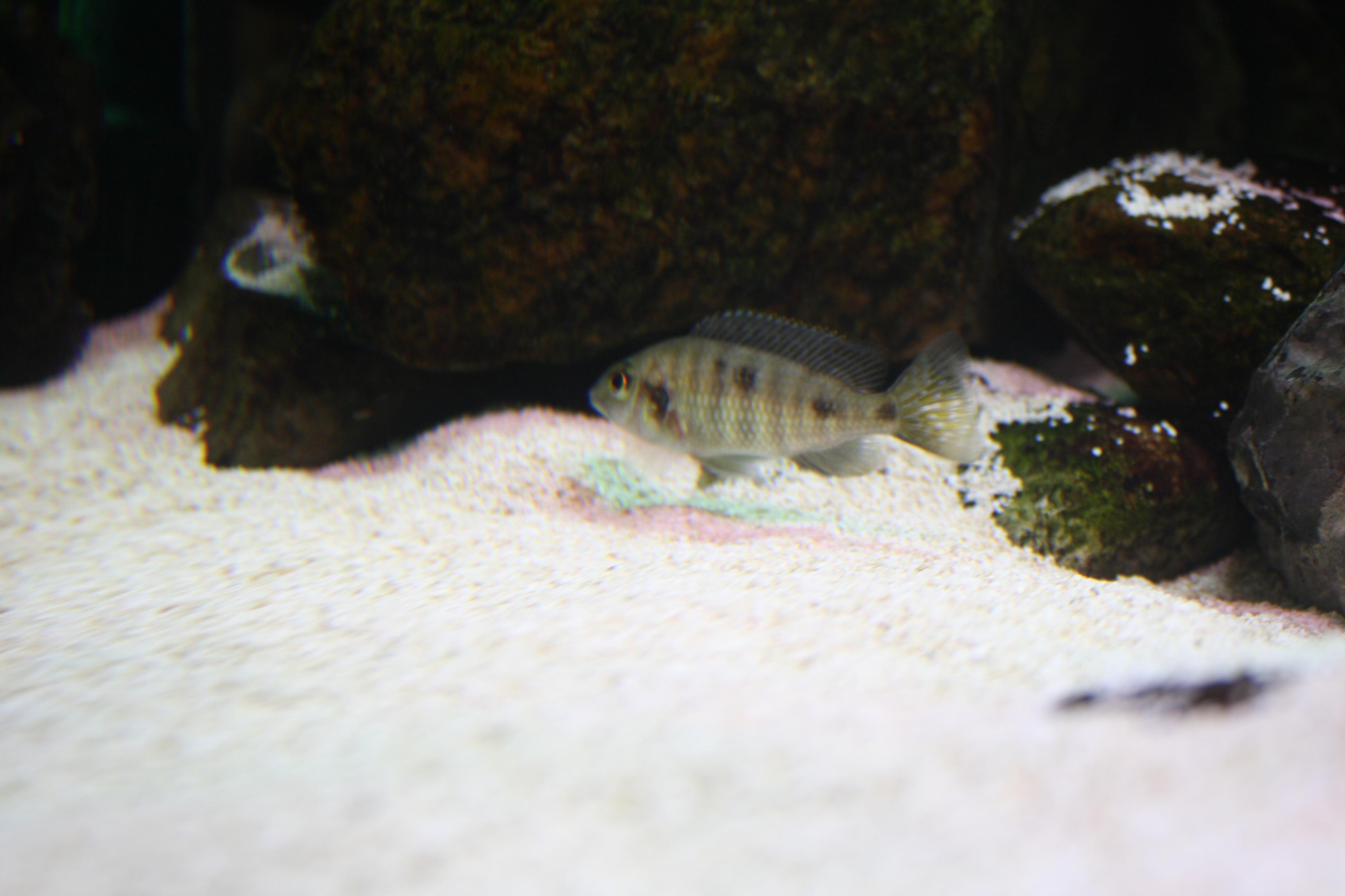 IMG_0415.jpg