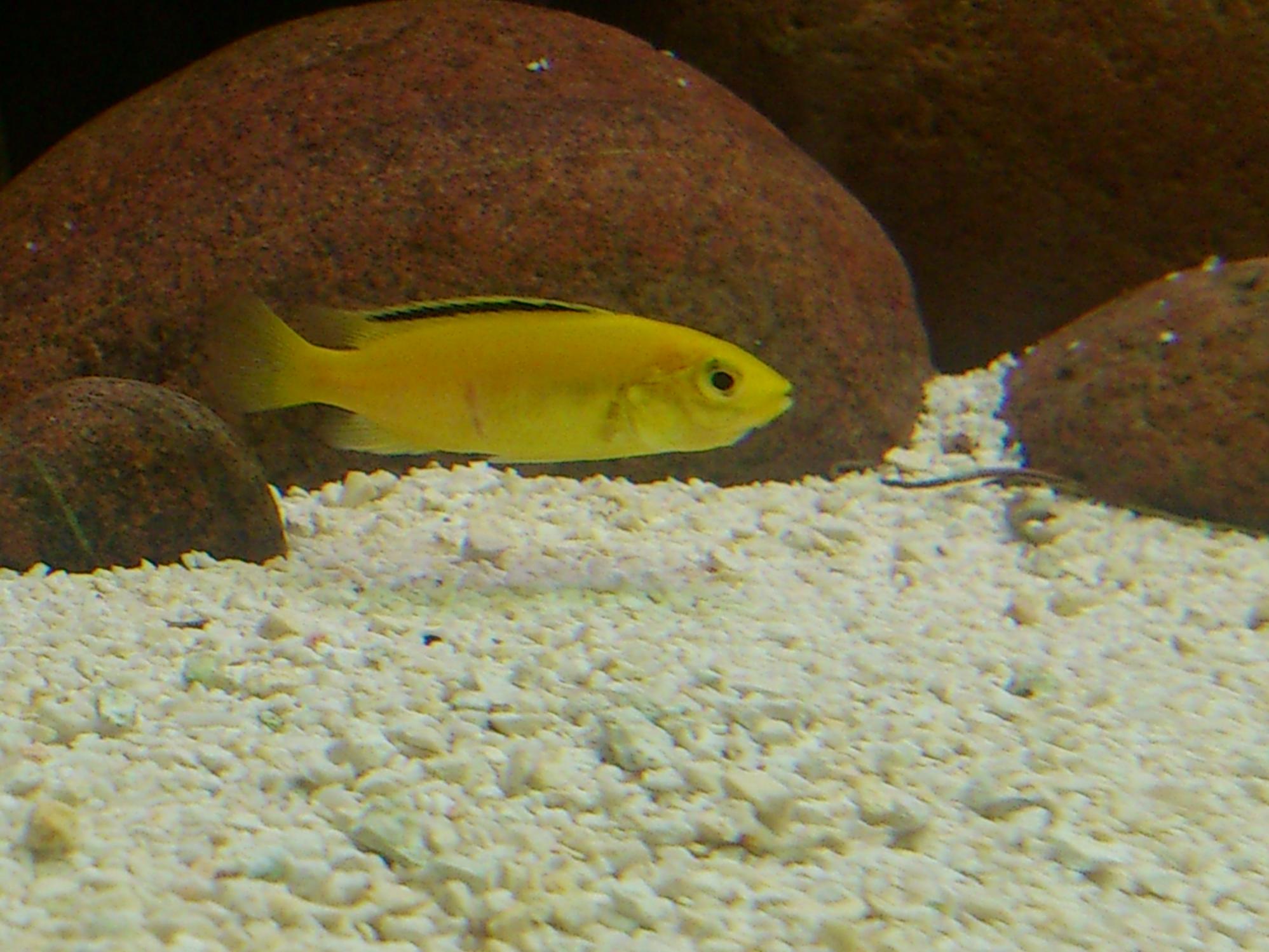 DSC_0003.jpg